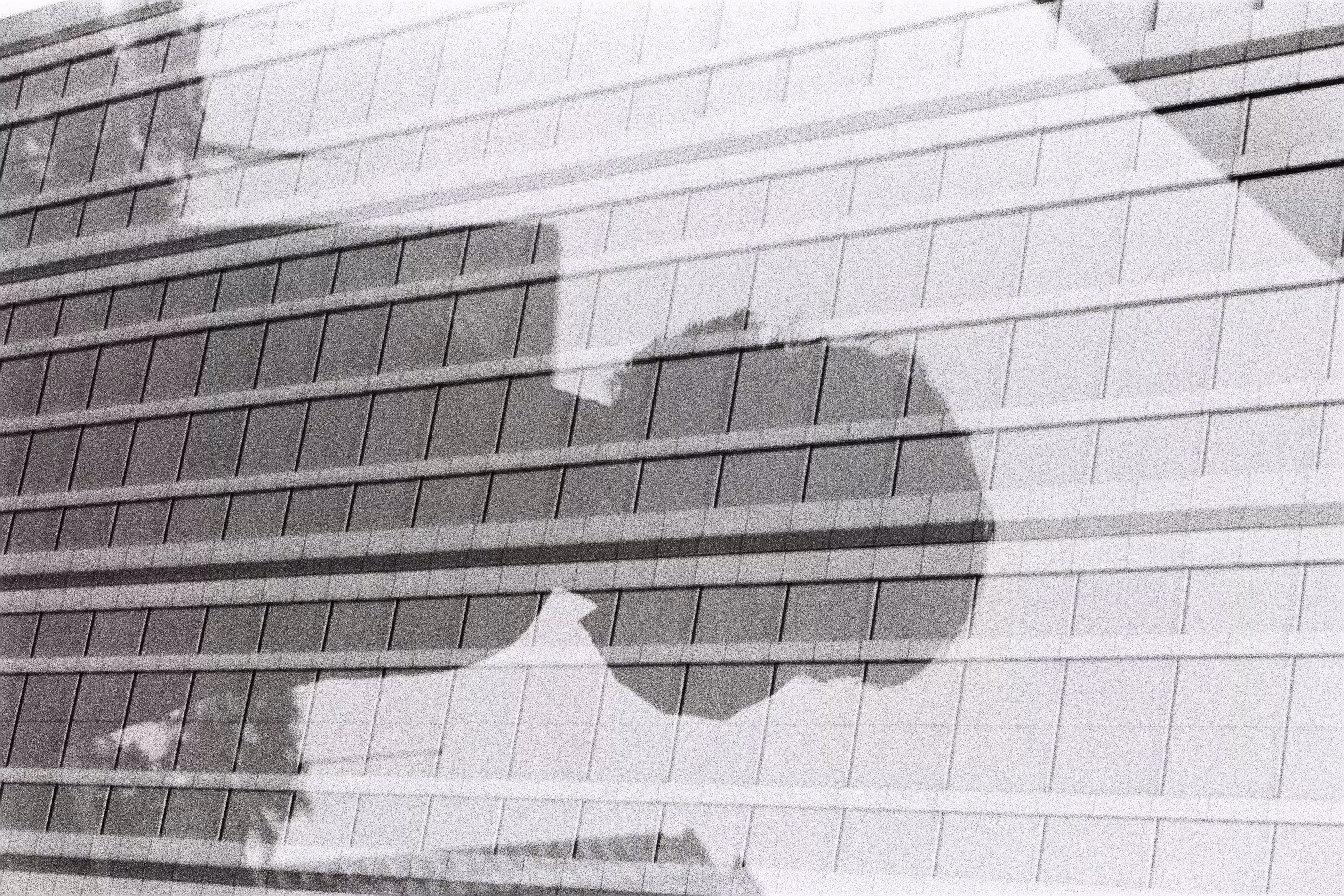 Shadow through building