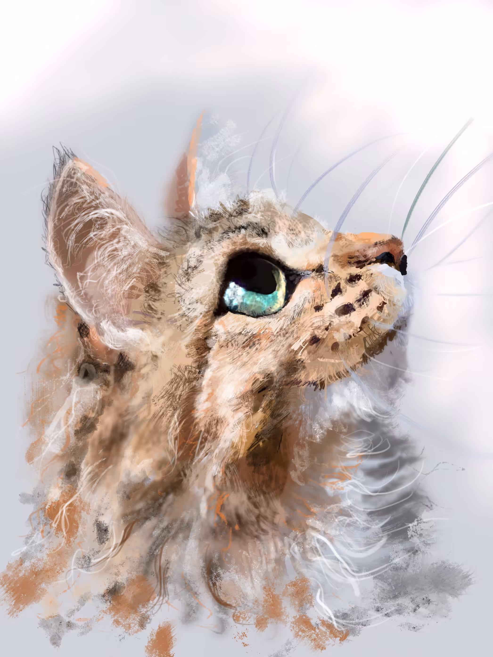 Mreow