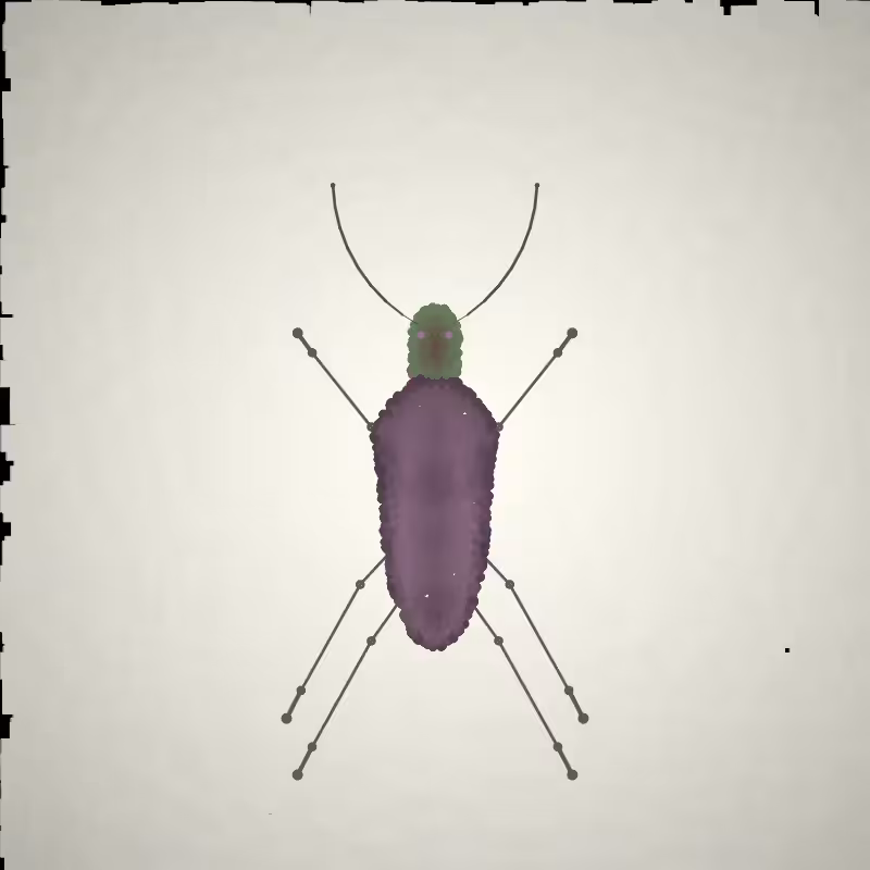 Beetle Sketches #13