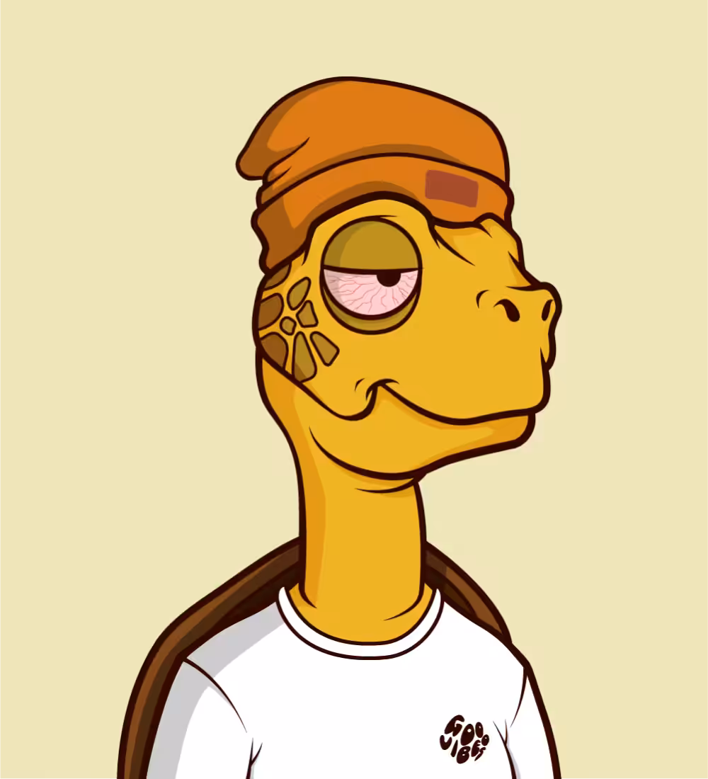 Tiny Turtle 116