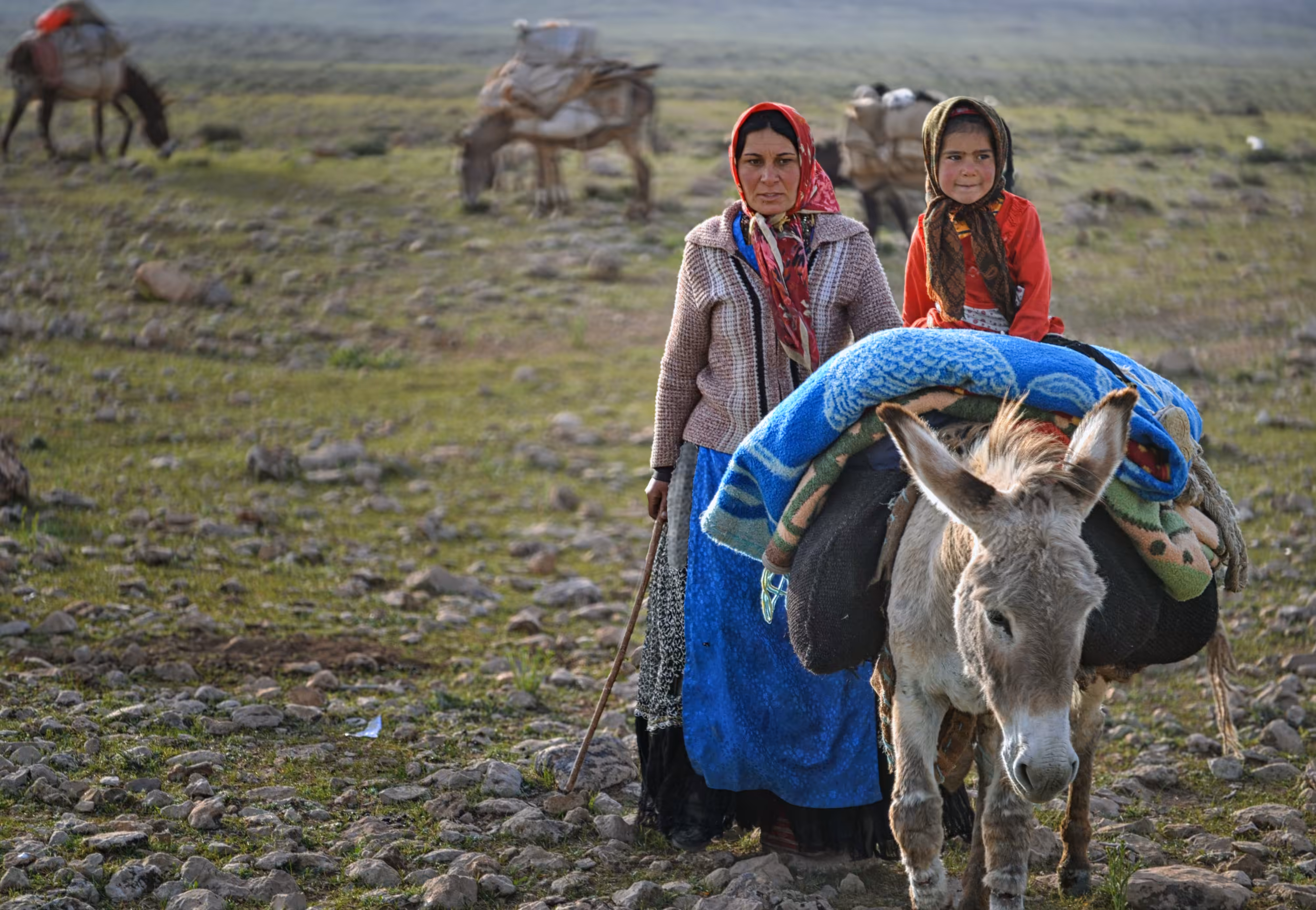 my photography: Nomadic migration #2