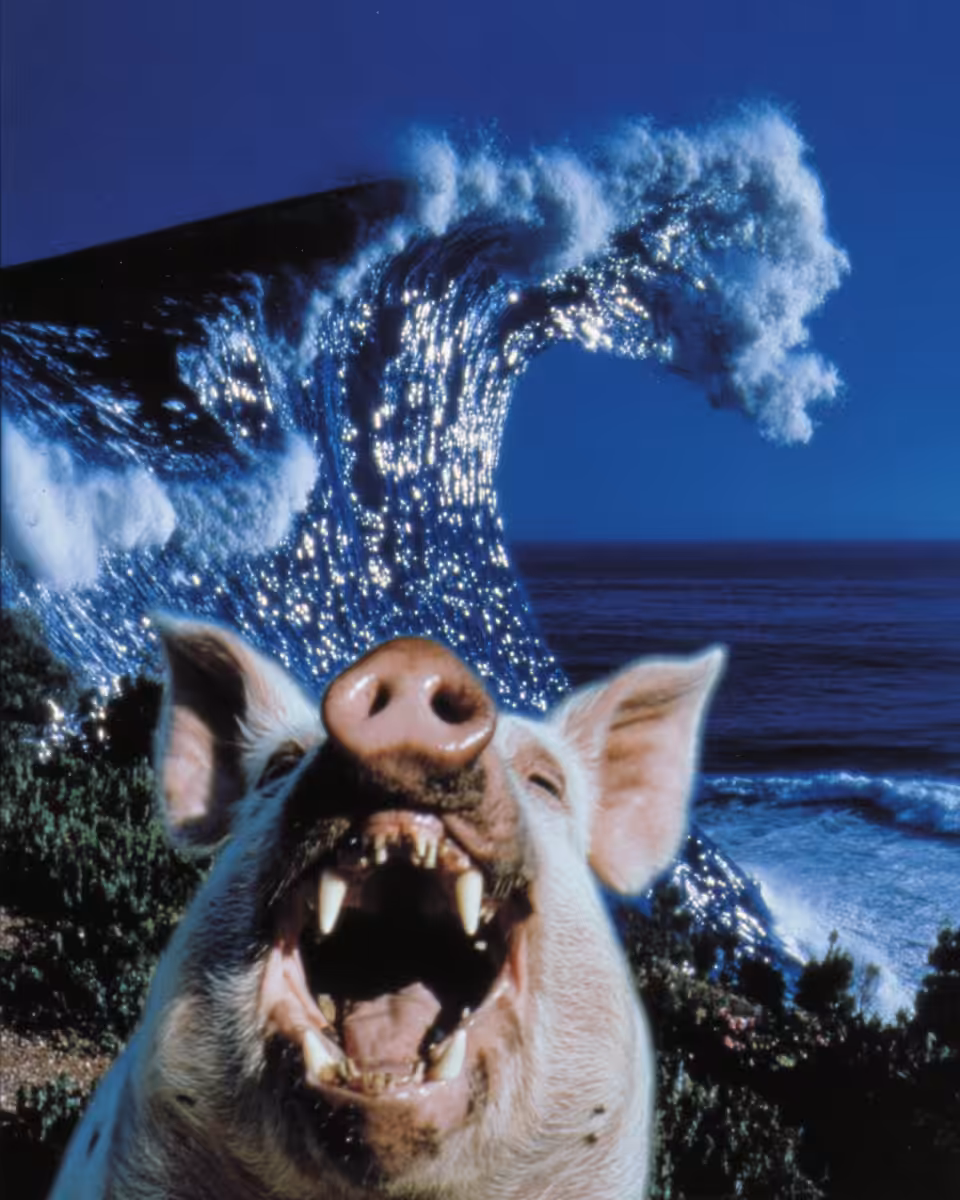 The Wave Has Teeth