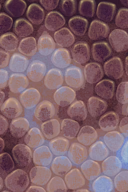 Vitreous #103