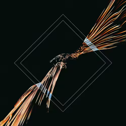 Vortex #1204