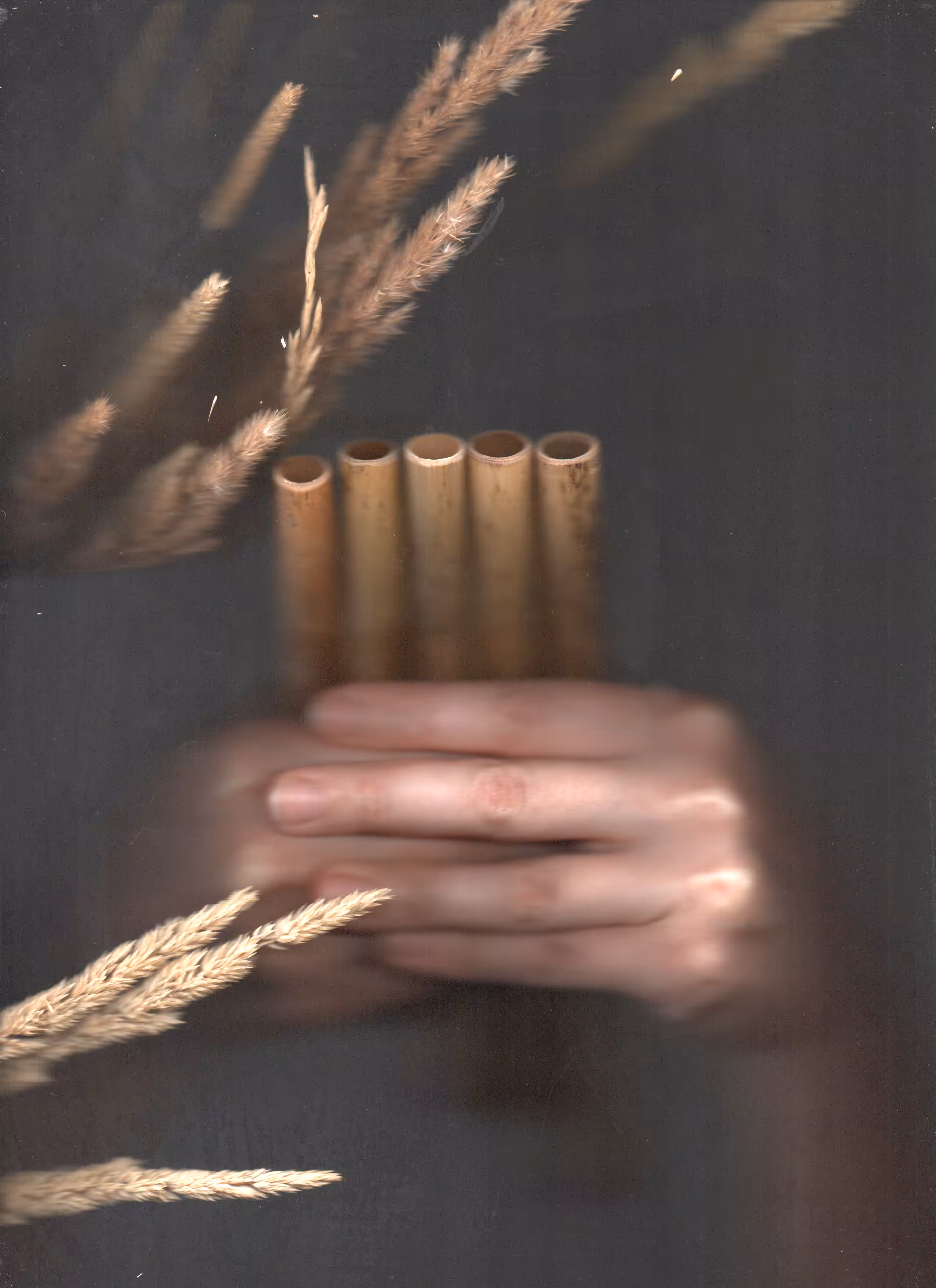 Scanography poster: Field music