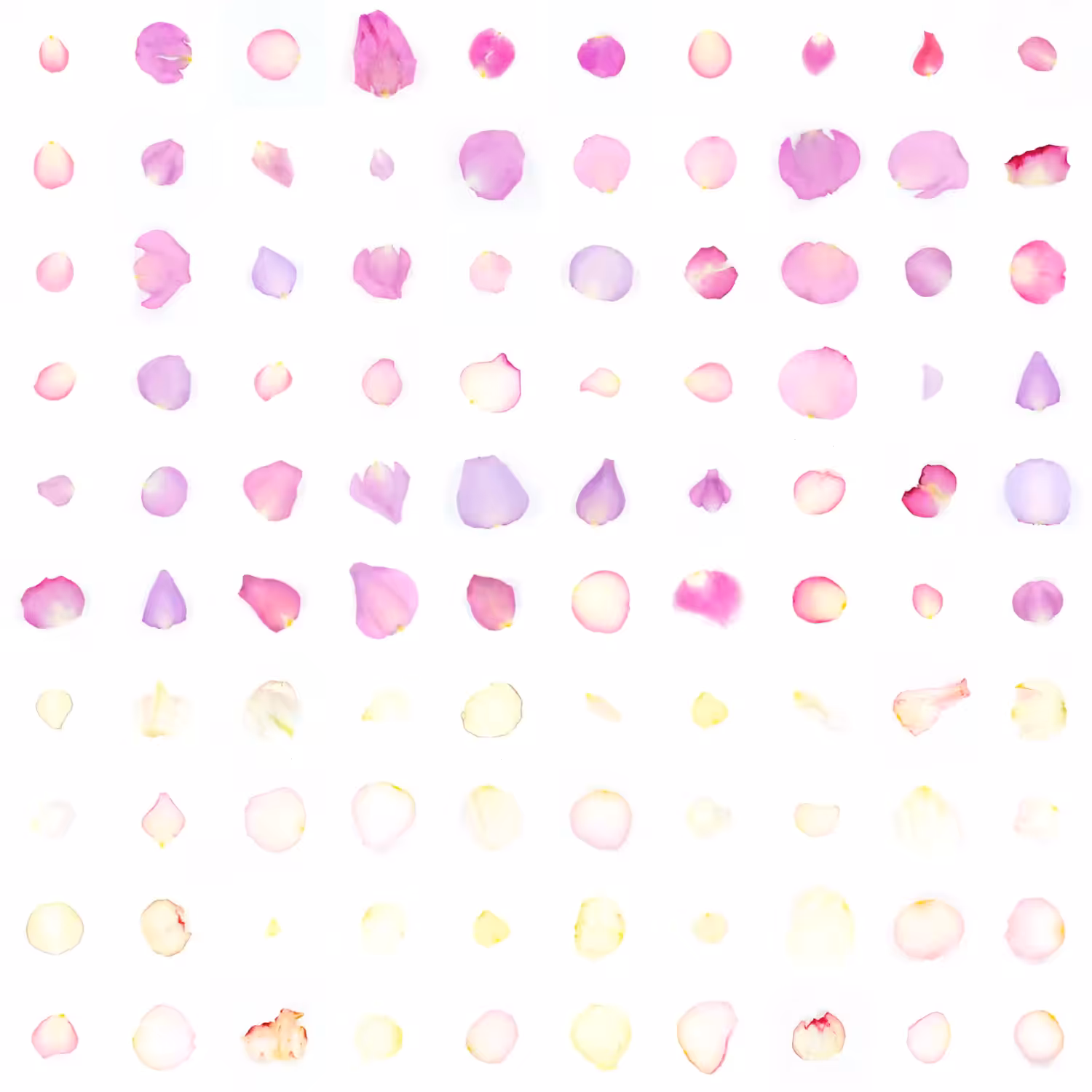 Infinite Petals 10x10#2520