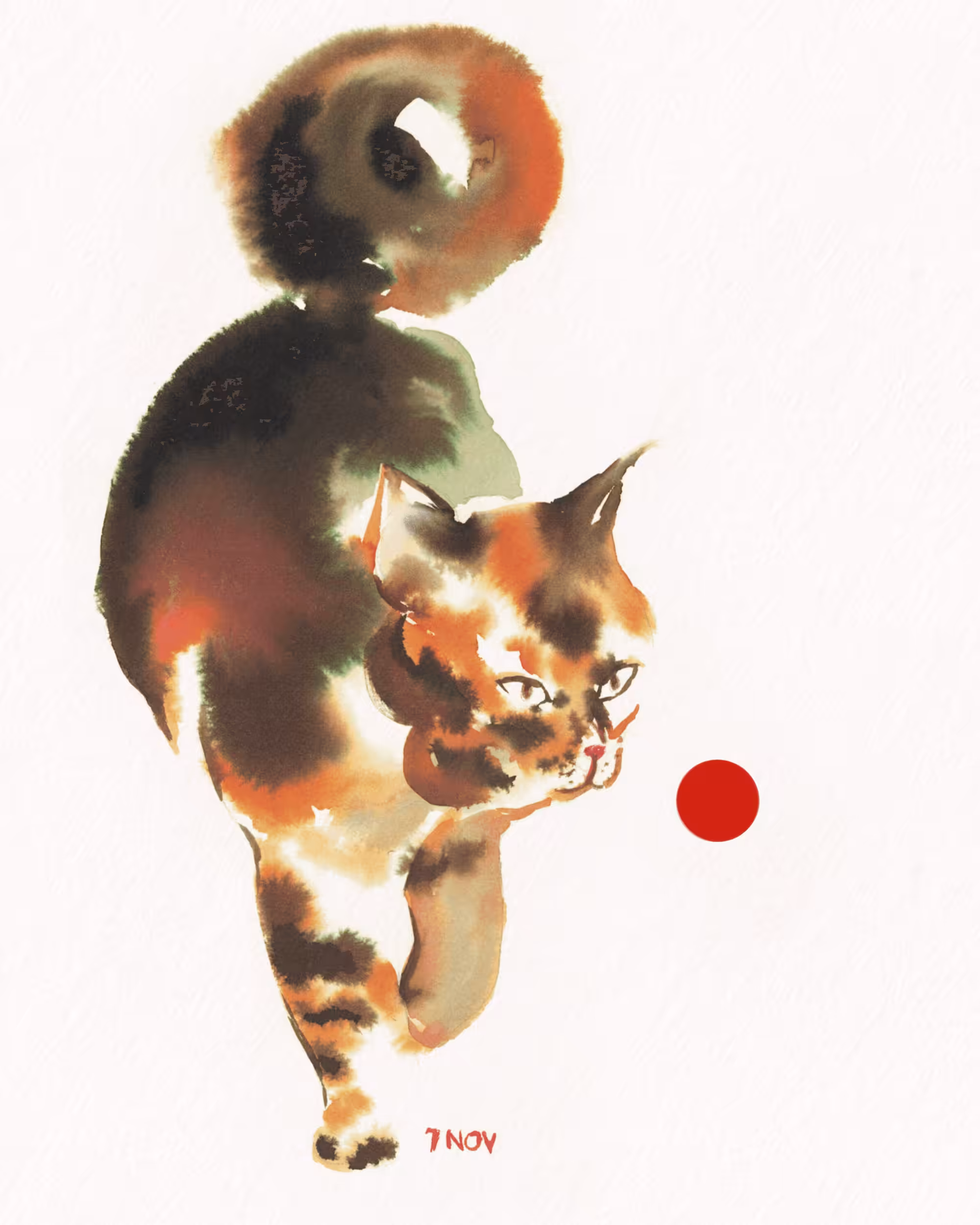 meaow#06