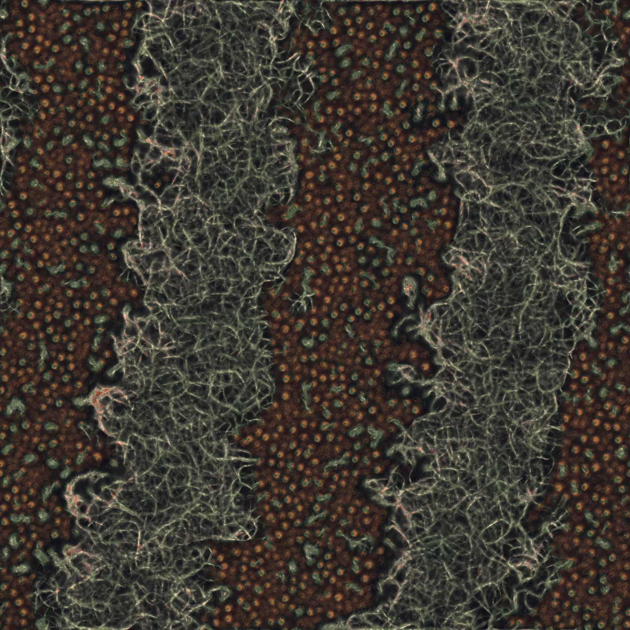 saprophyte #182