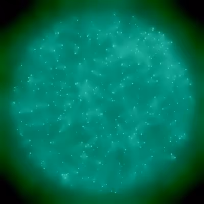 Petri Dish #19