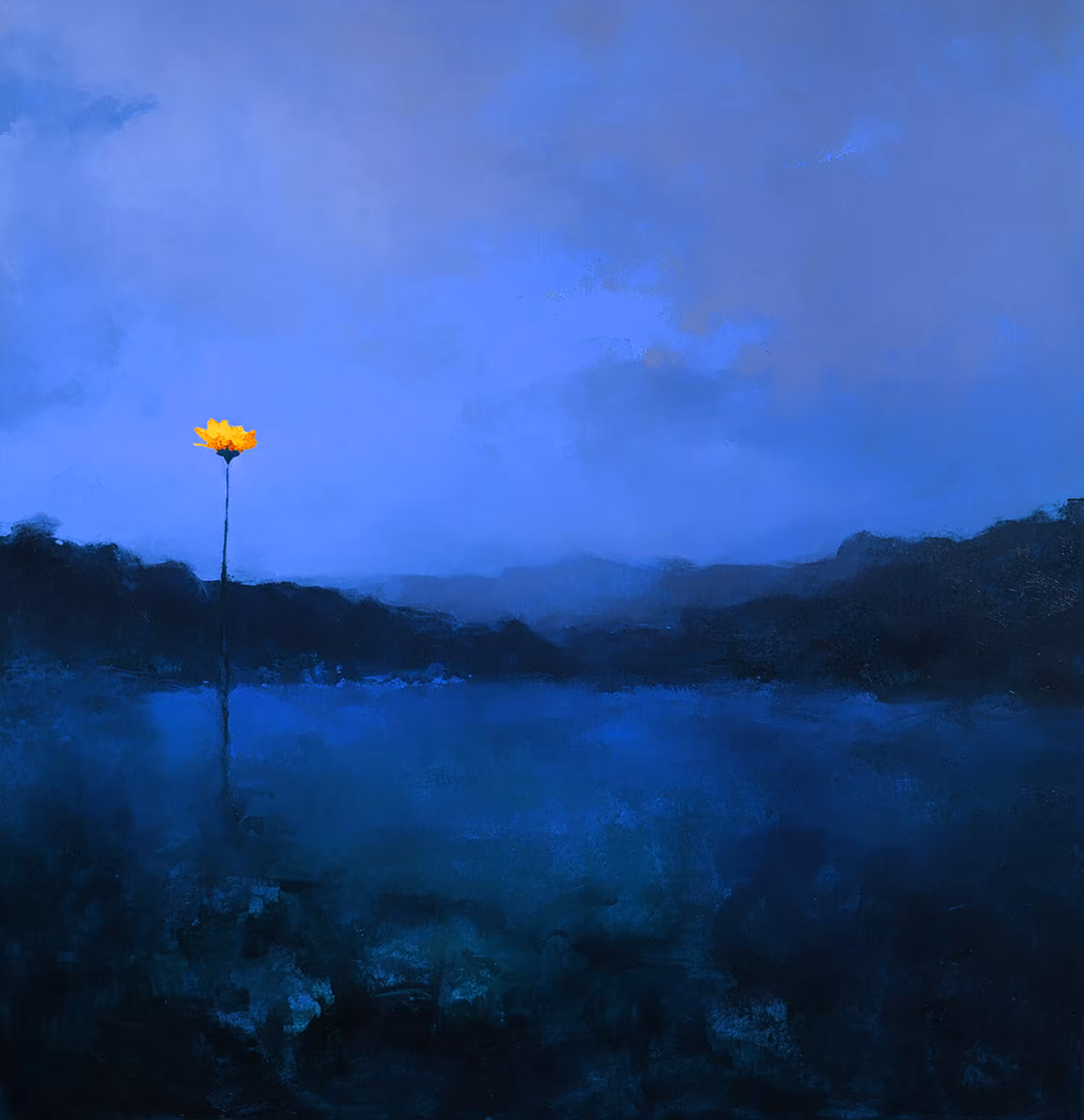 Collection: Evening glow