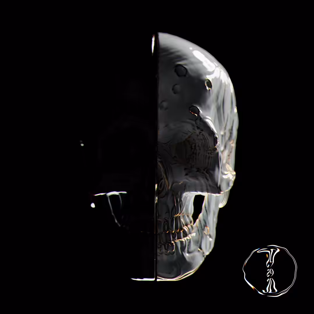 Skull Collector #29