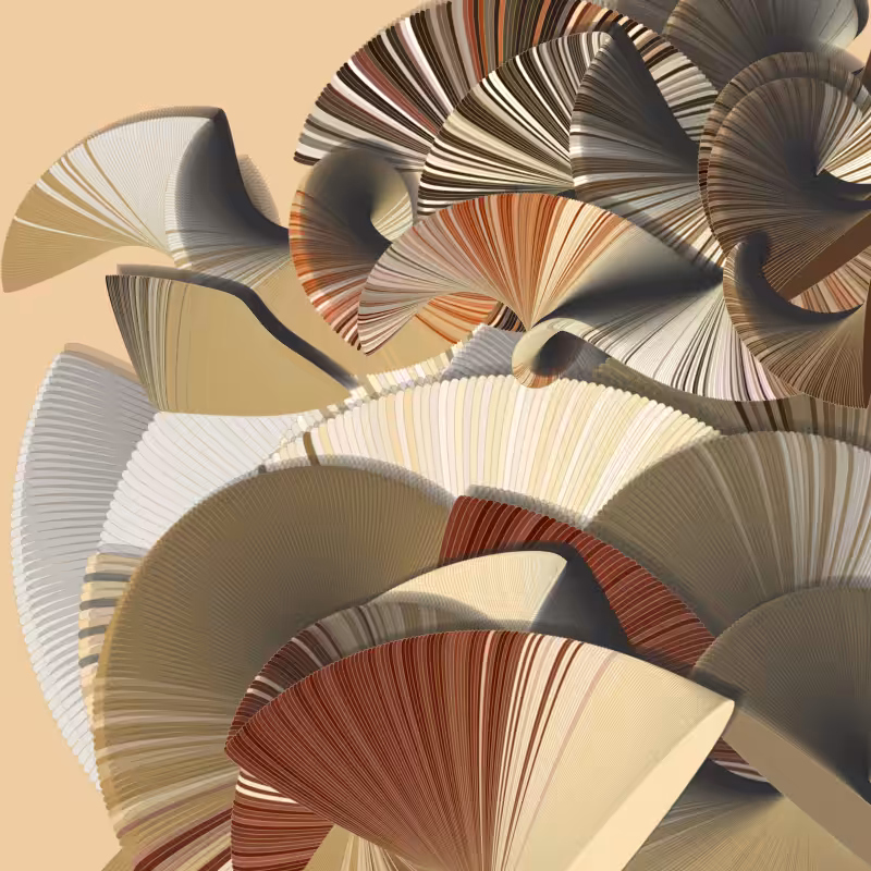 Seashells #145