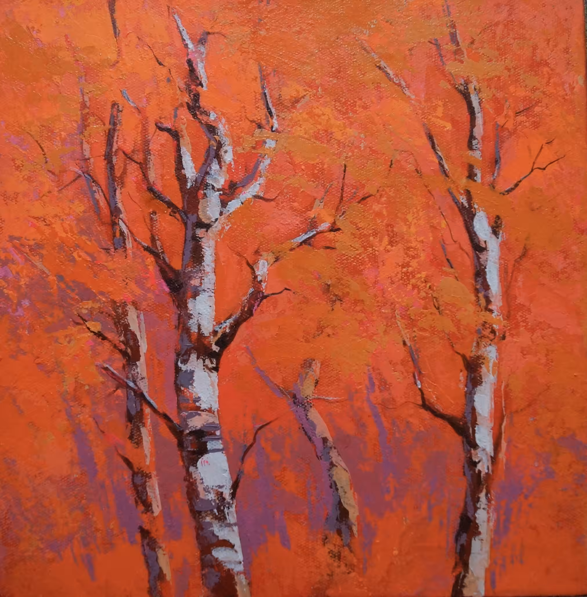 Trees in Fall