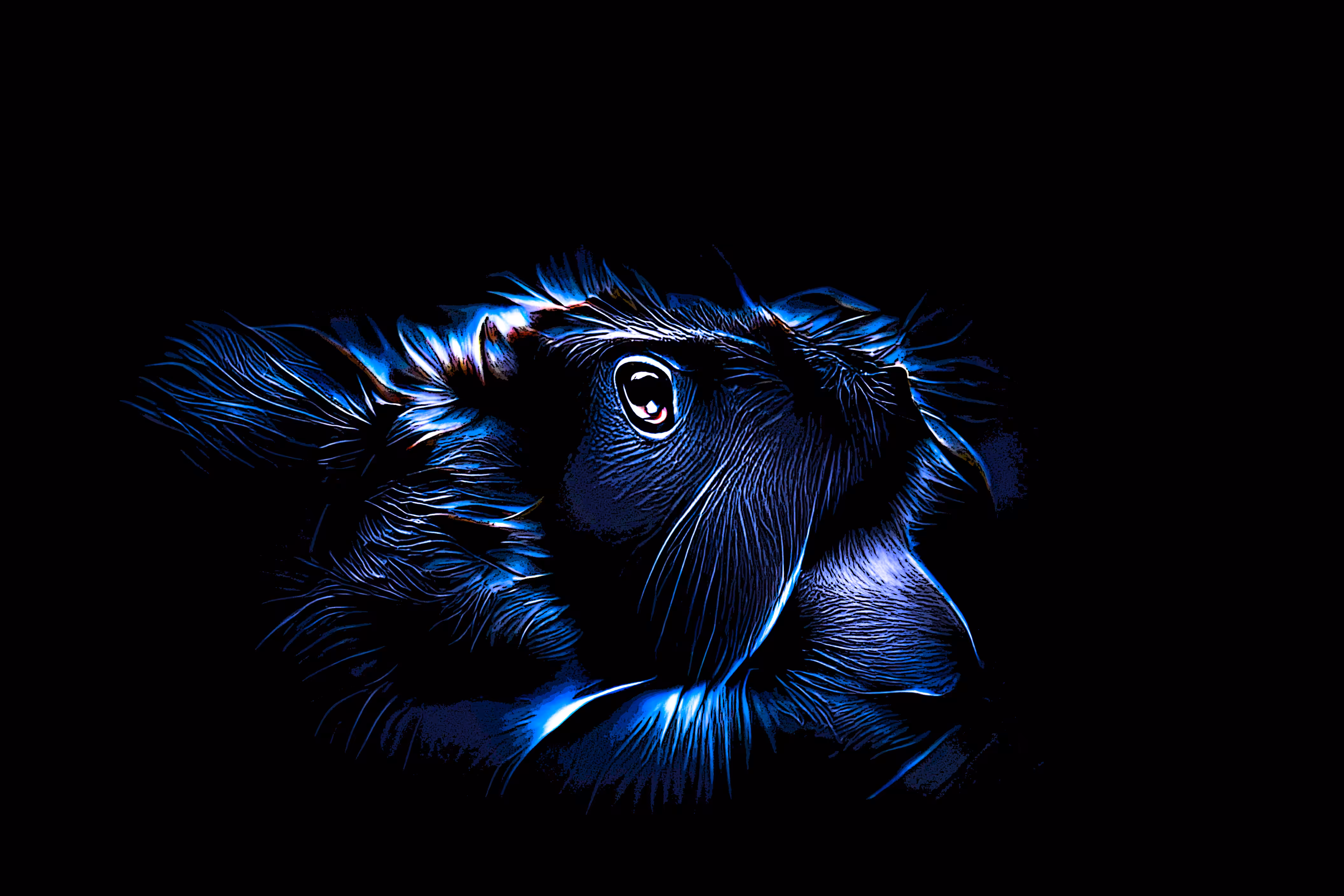 Beautiful Creature