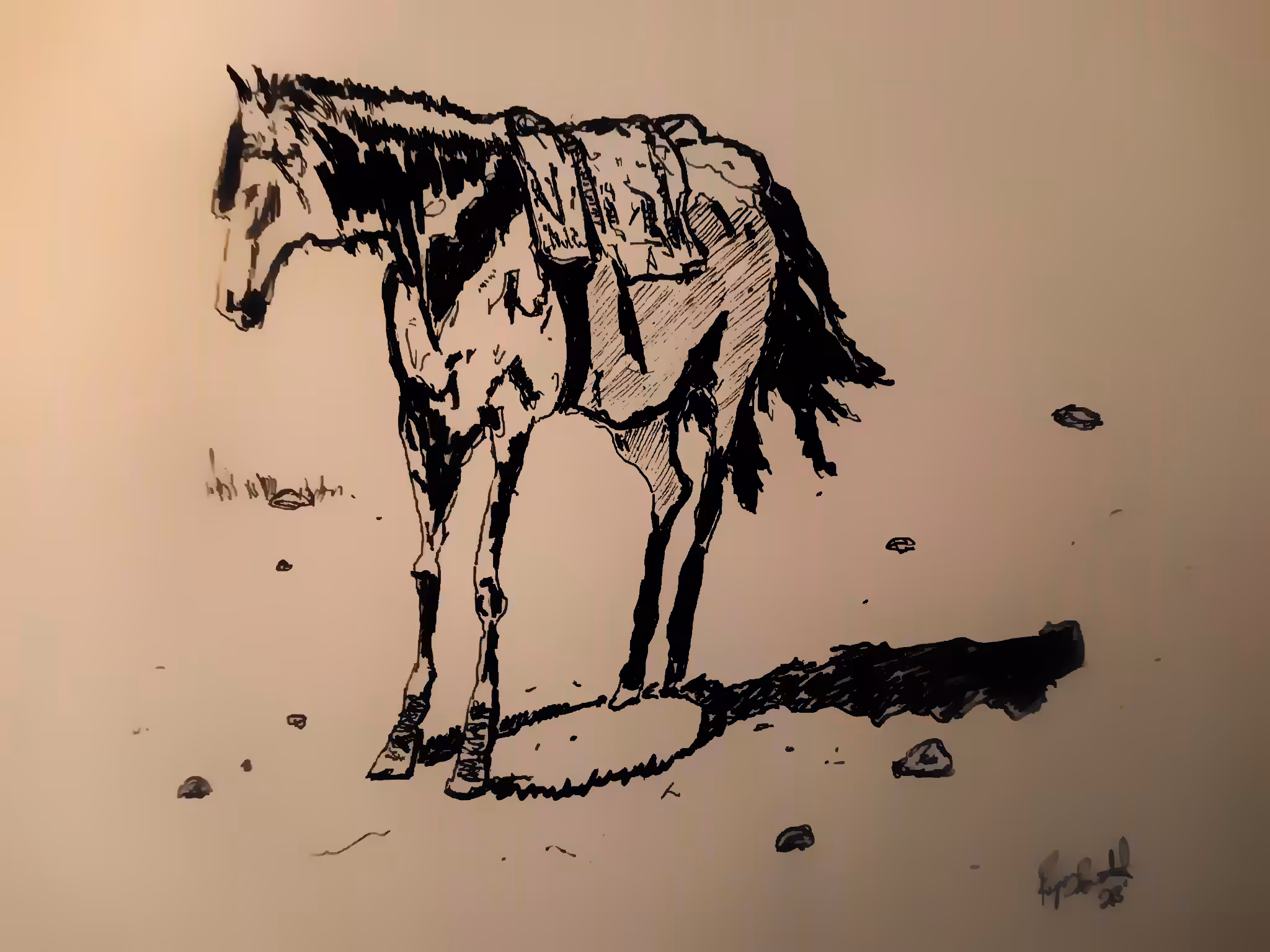 Horse with no name