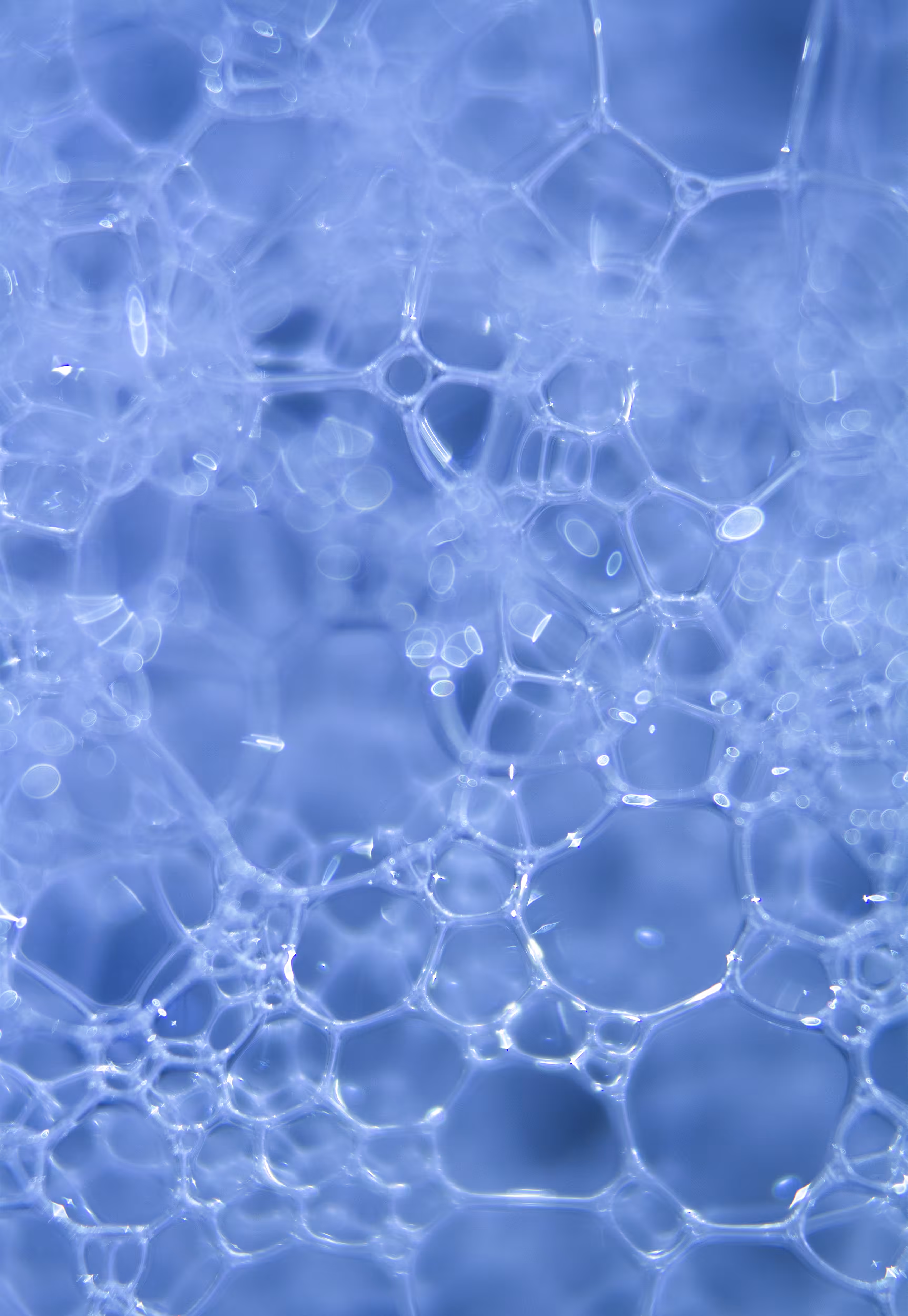 #60 Bubbles
