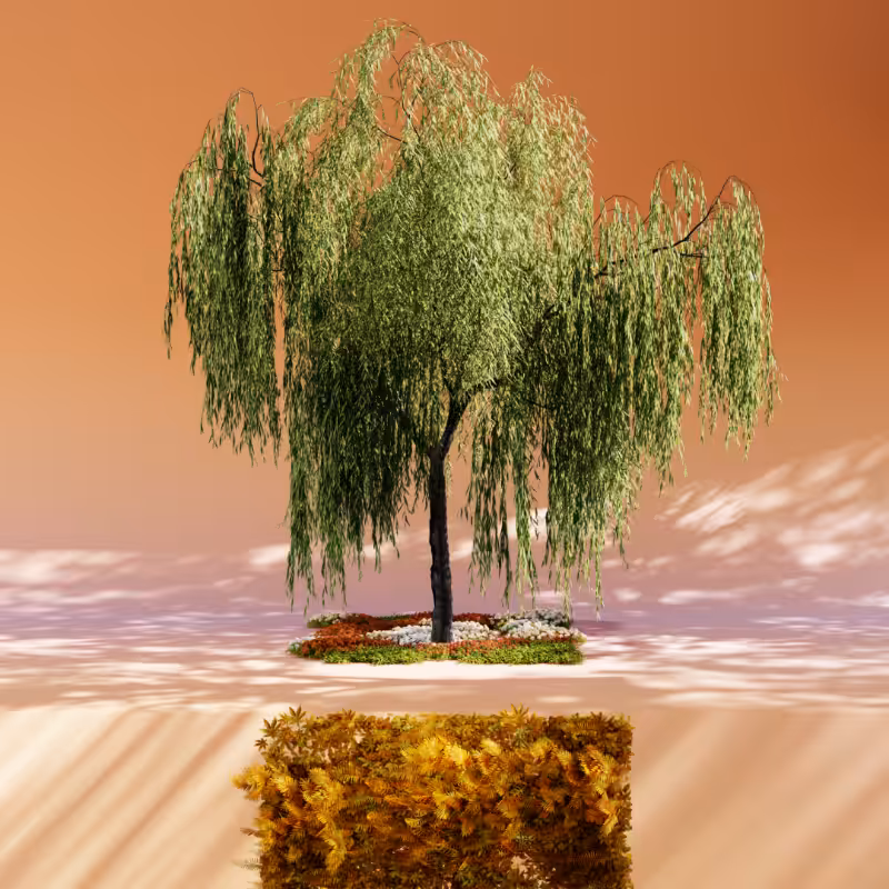 Nature rooms #15
