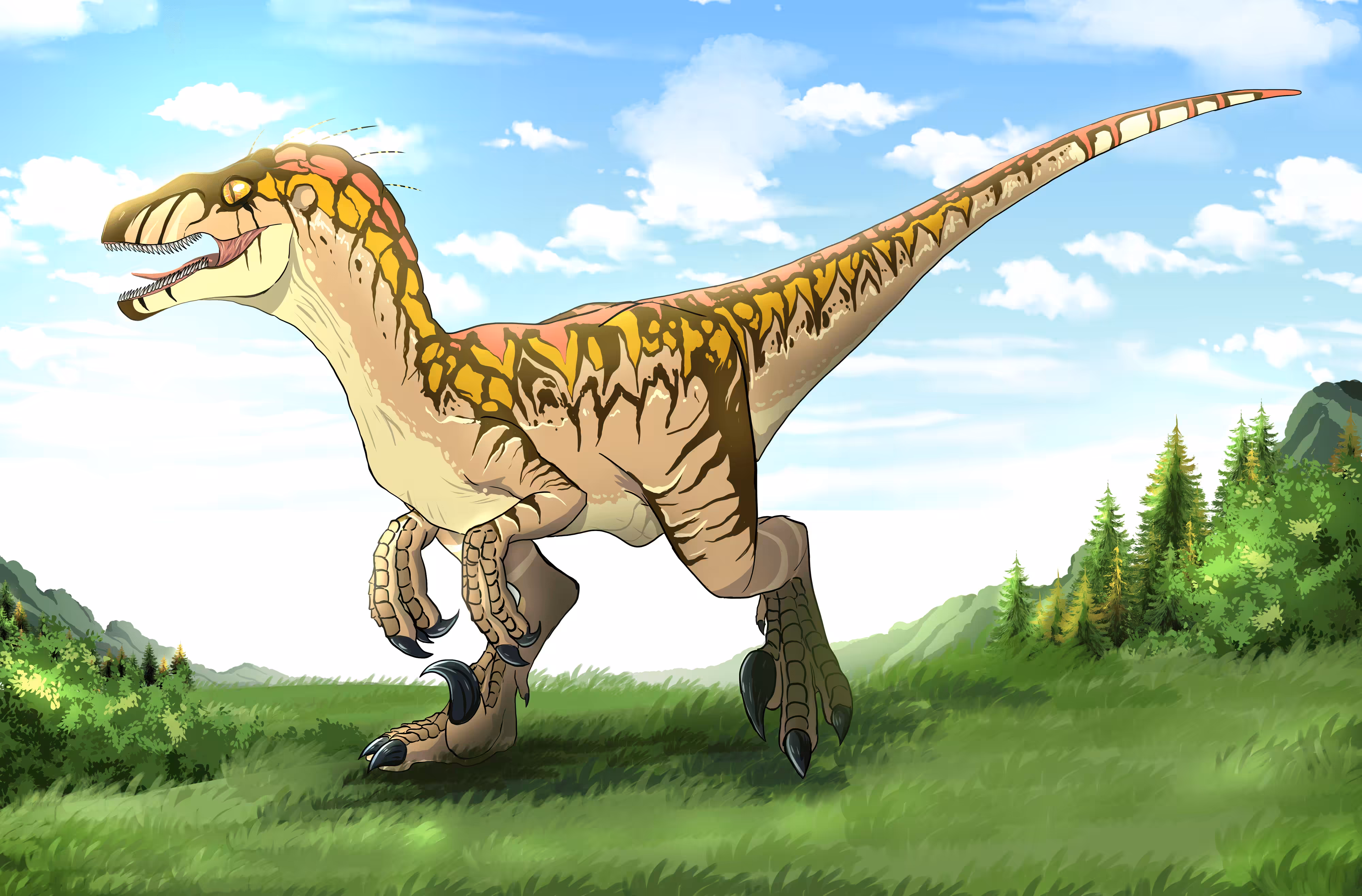 Adult Raptor for tnols
