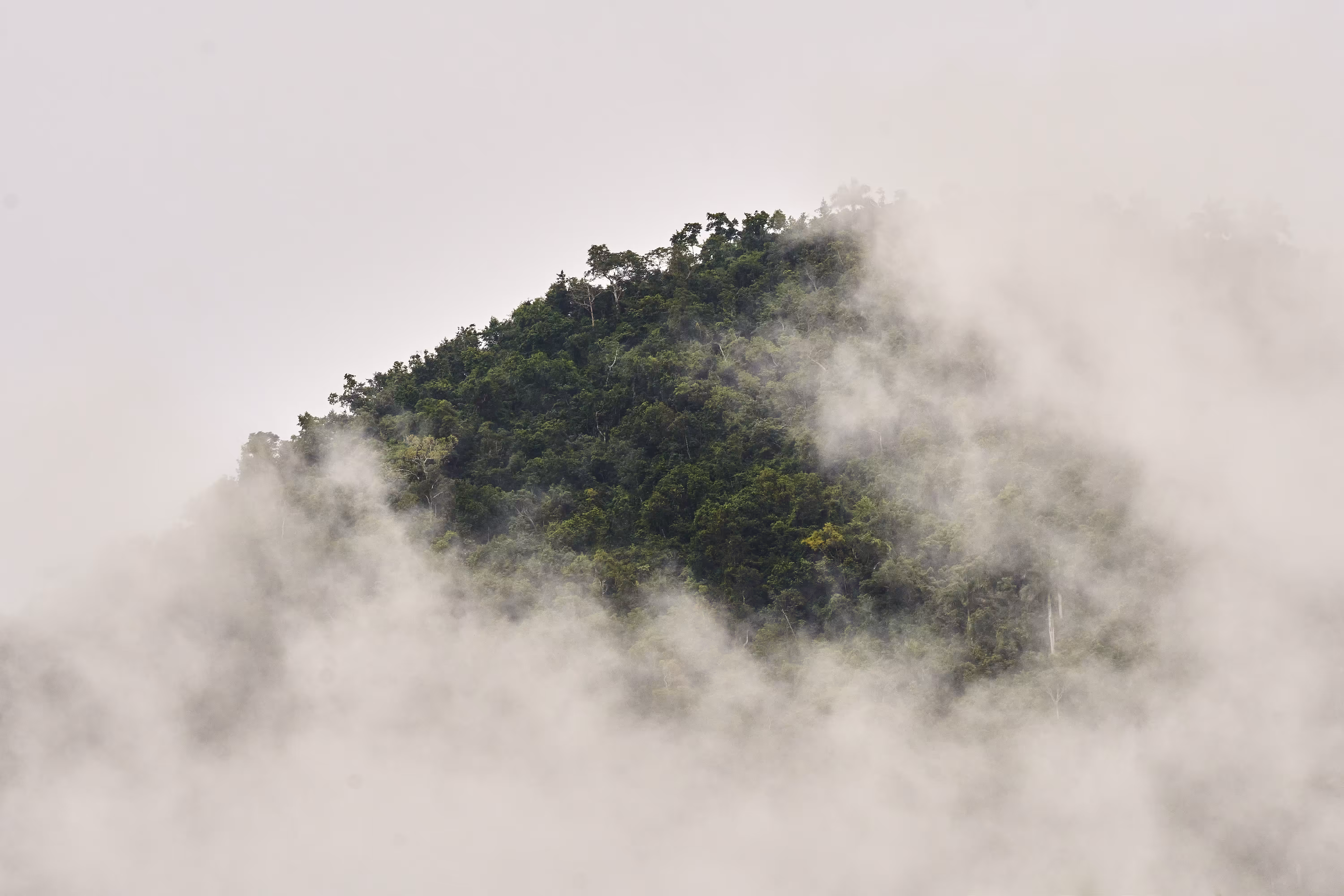 mountains in the clouds 