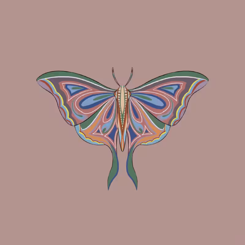 The Moth Experiment 2.0 P2 #4