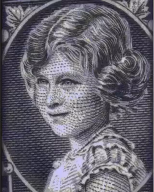 The evolution of Elizabeth