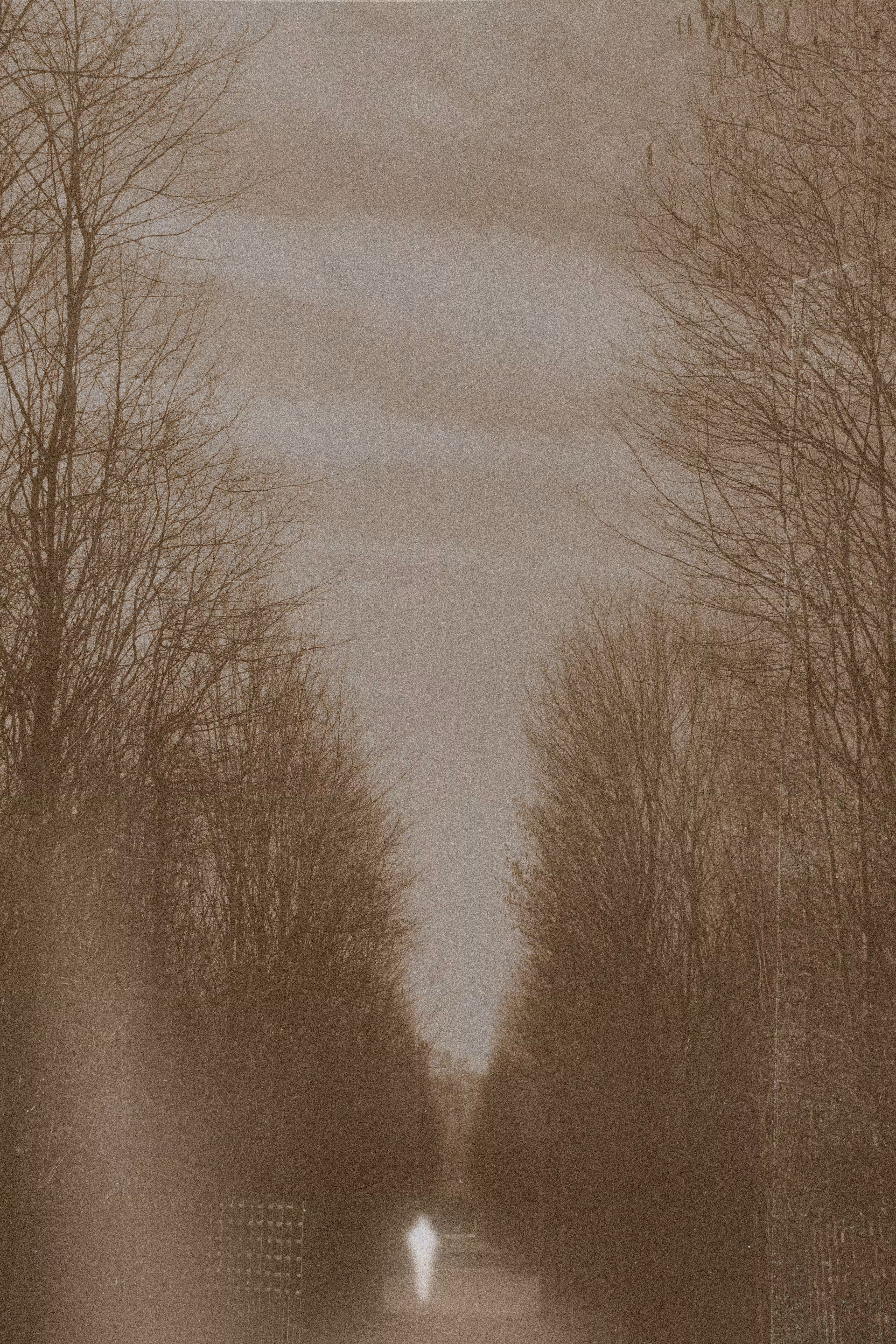 seul à versailles