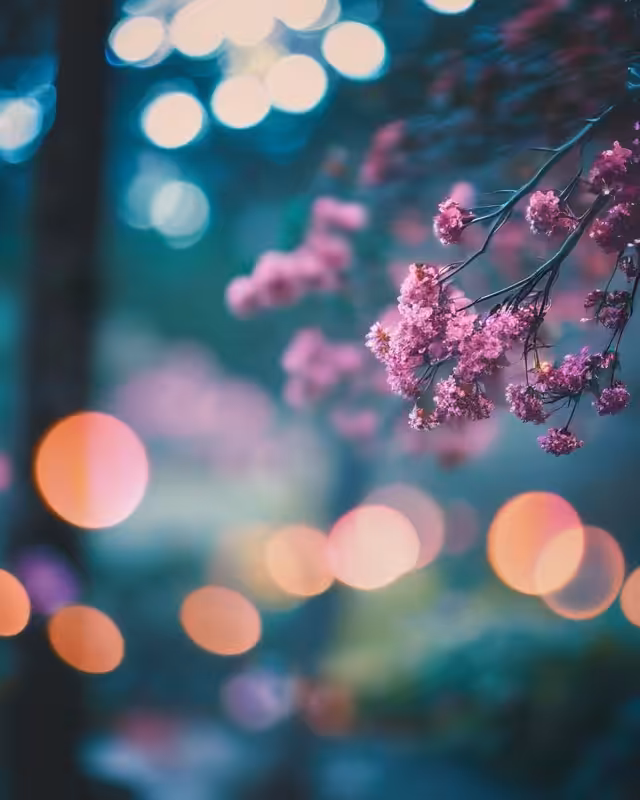 Bokeh of Blossoms