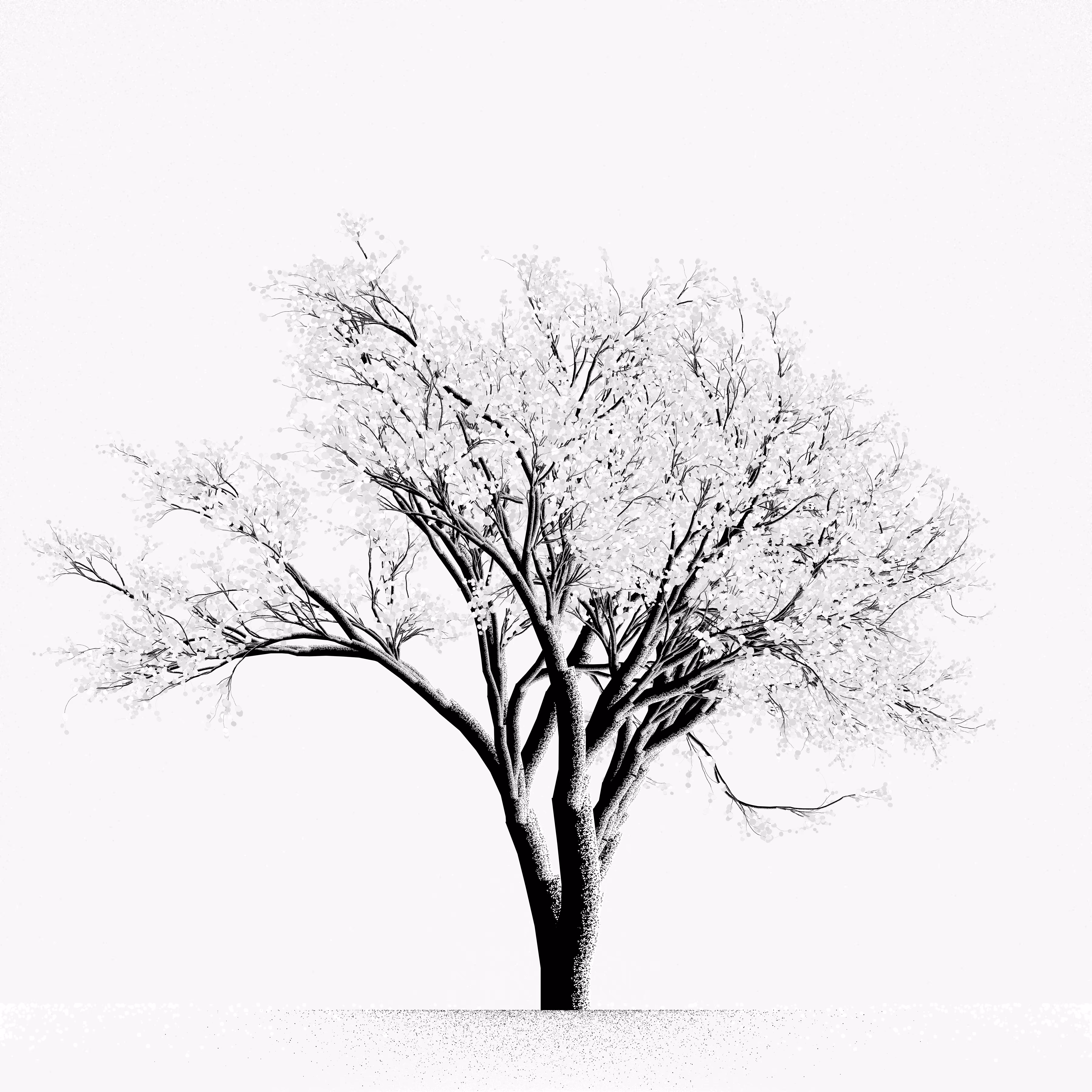 Snow Tree #37