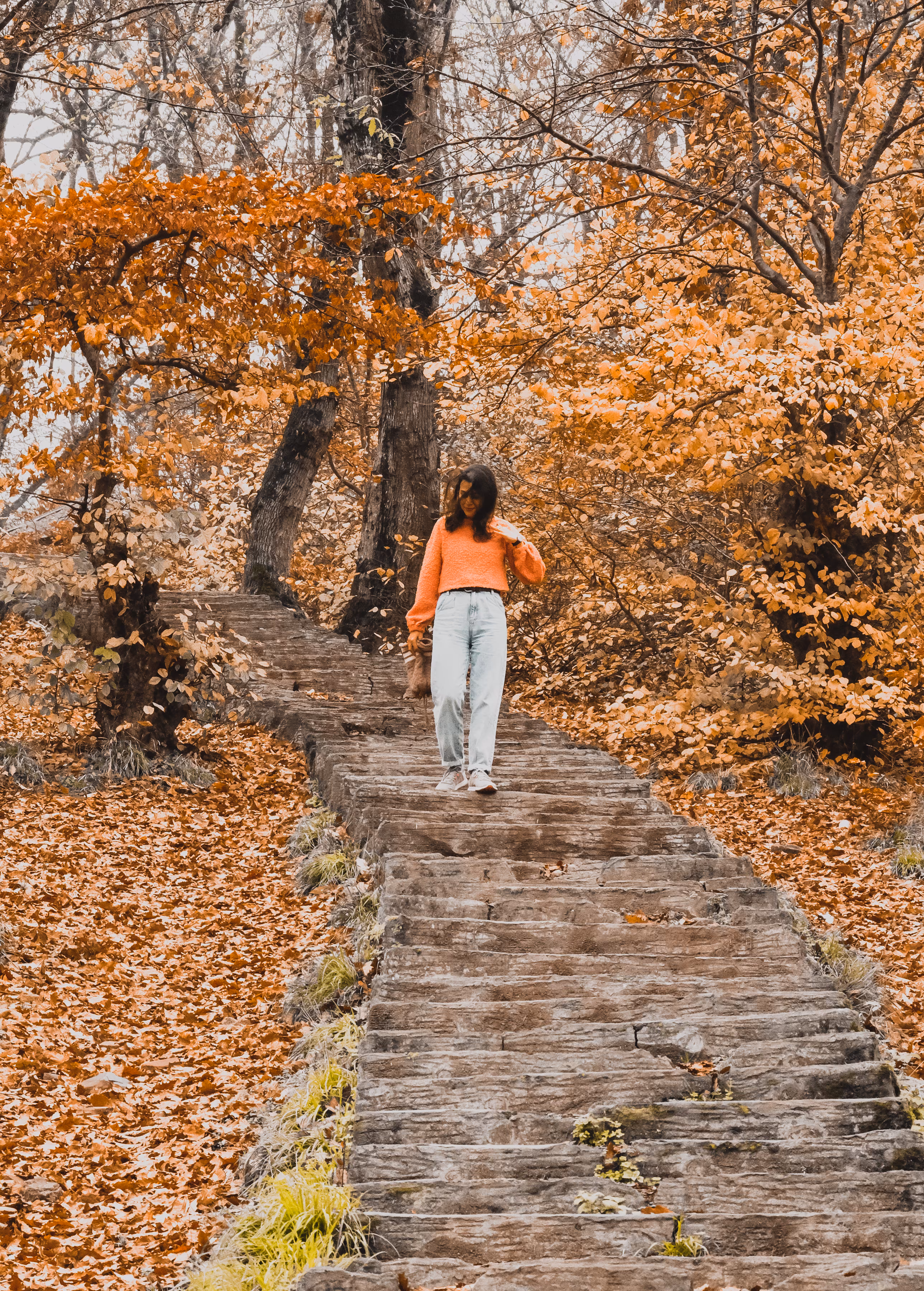 Orange on orange