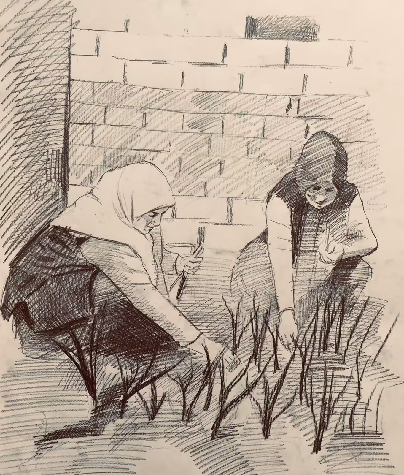 Aunts planting vegetable seedlings in the garden