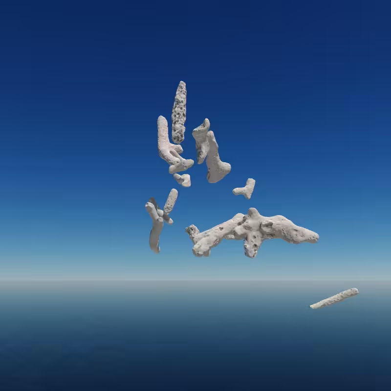 Bone Work (Gulf of Mexico) 2022 #53