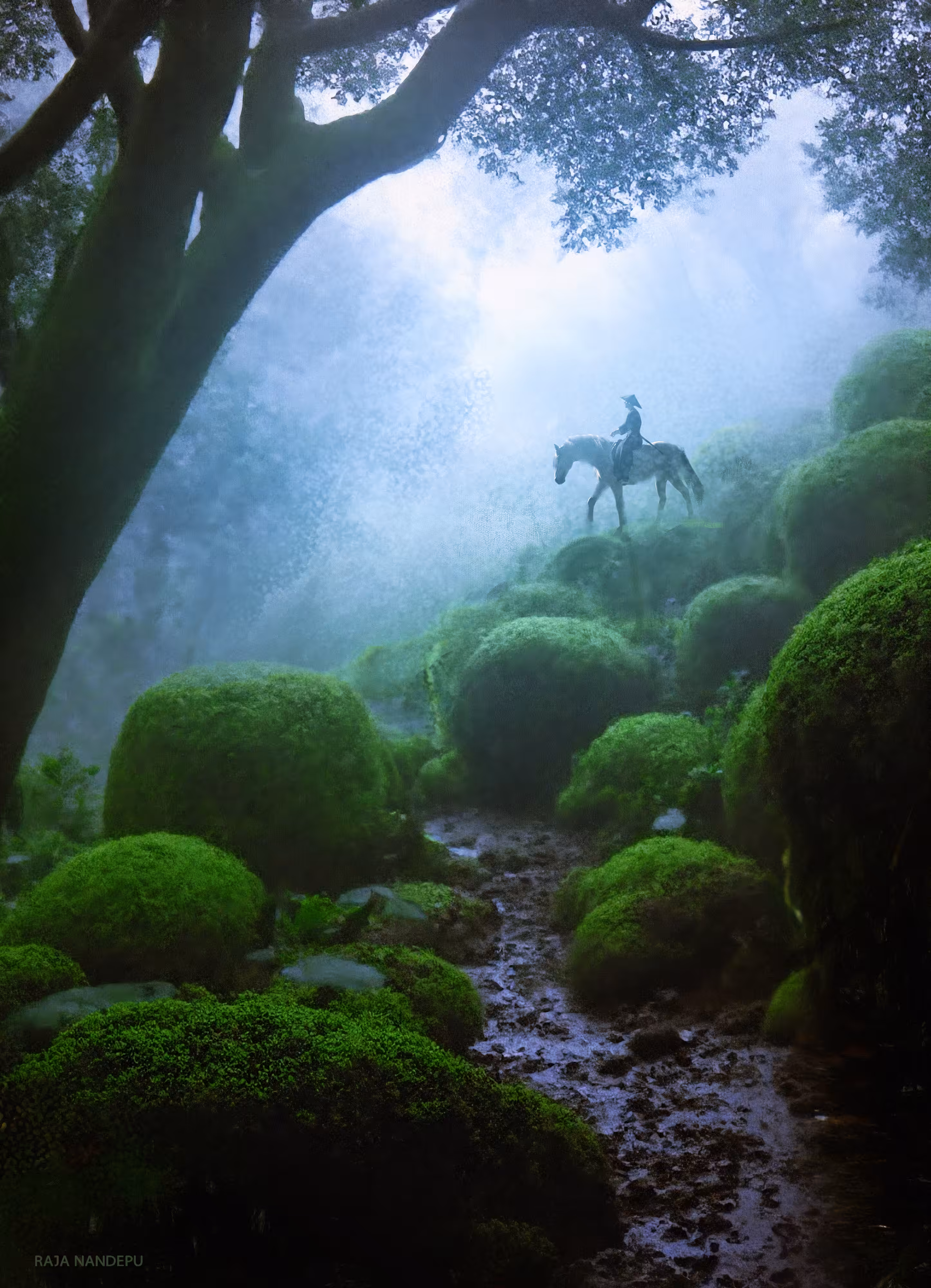 Woods (53)