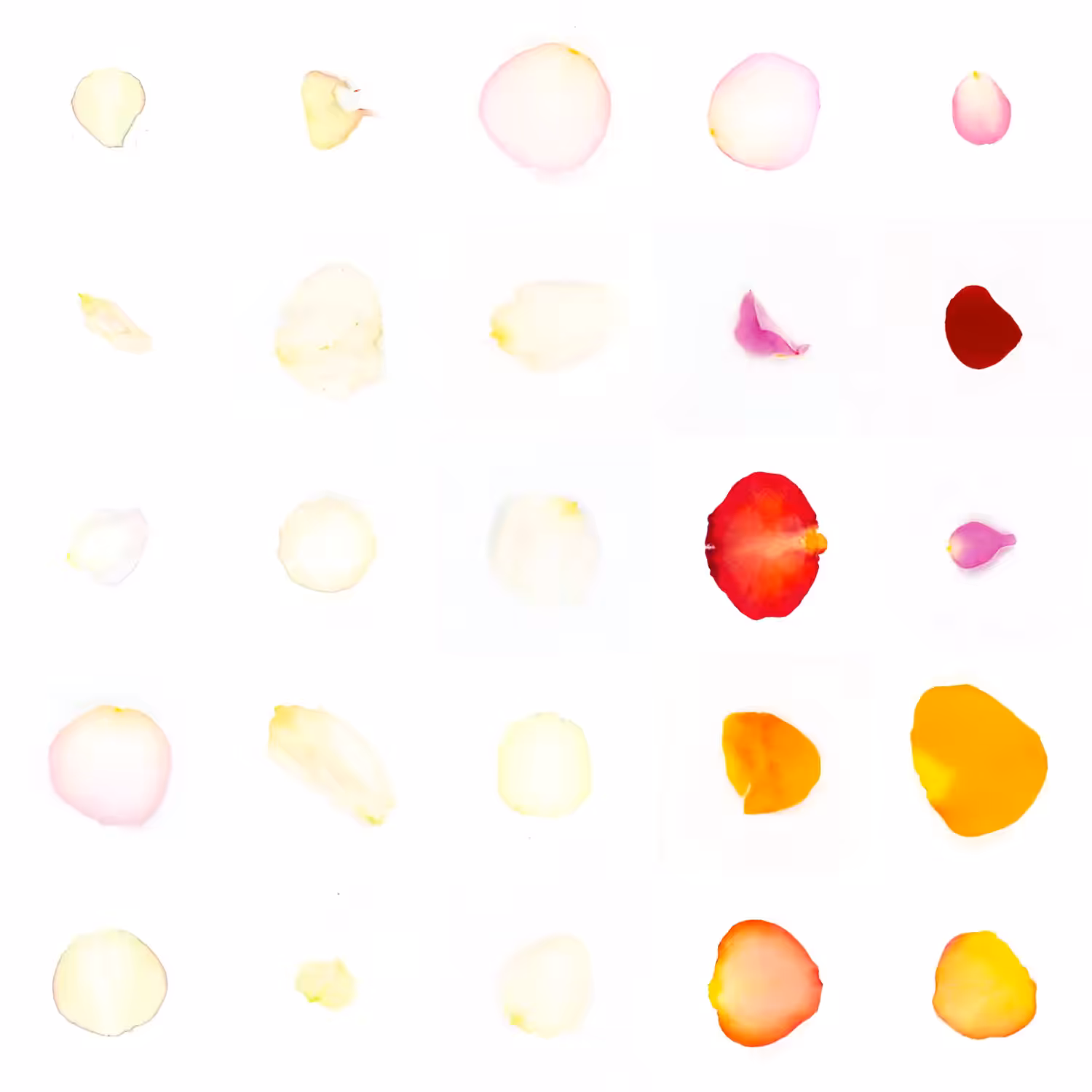 Infinite Petals 5x5#674