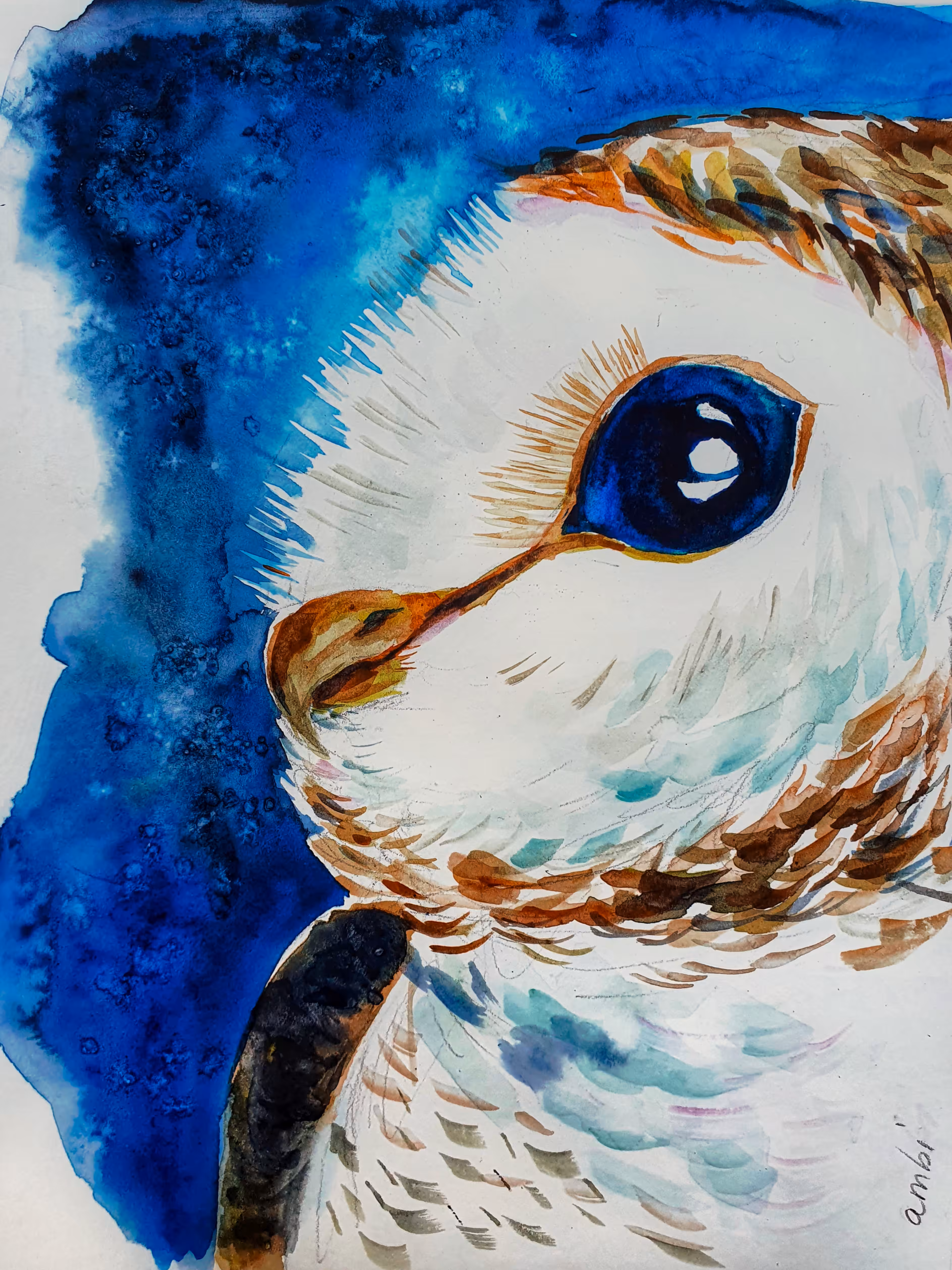 Owlie