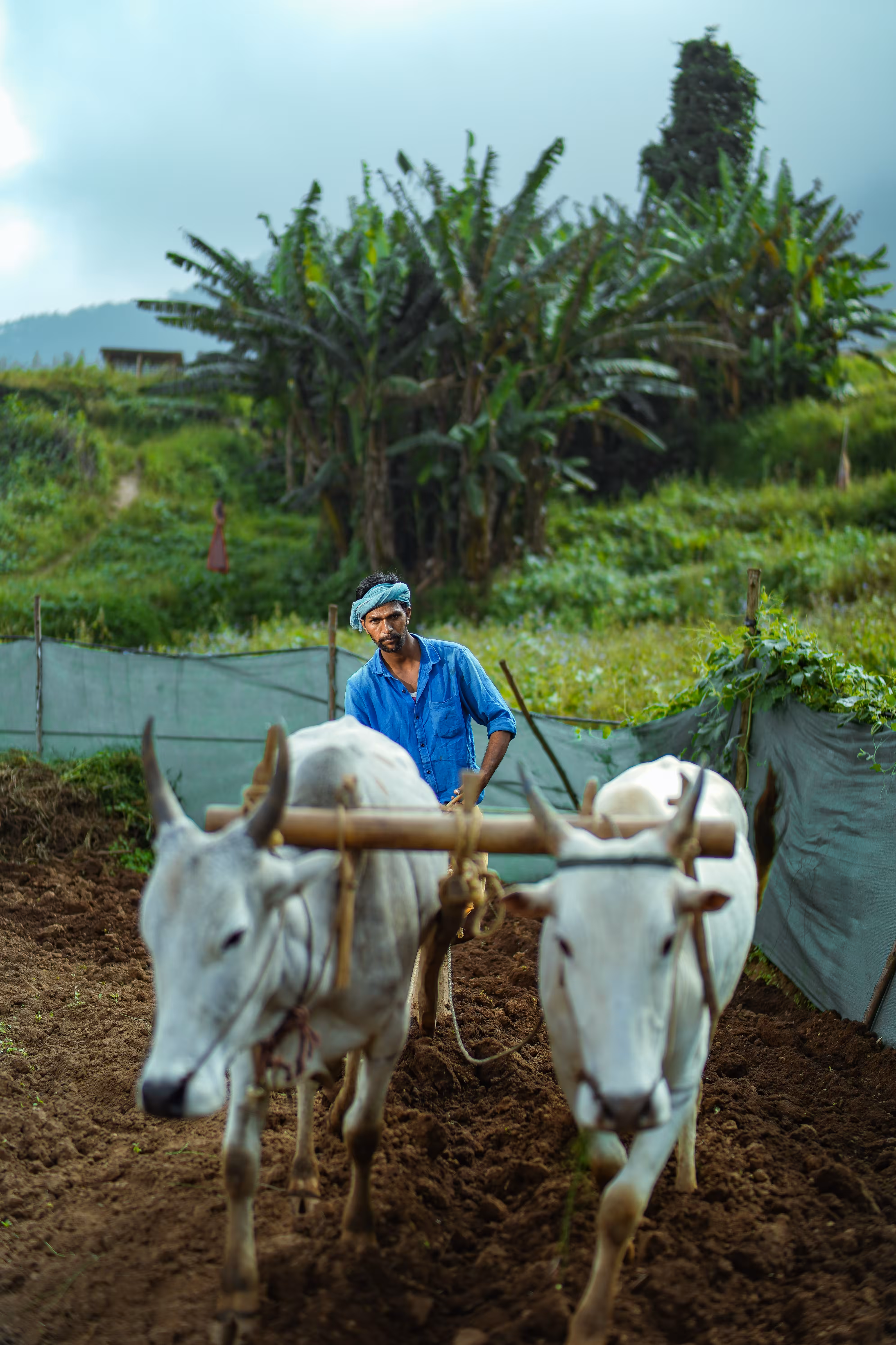 The Farmer
