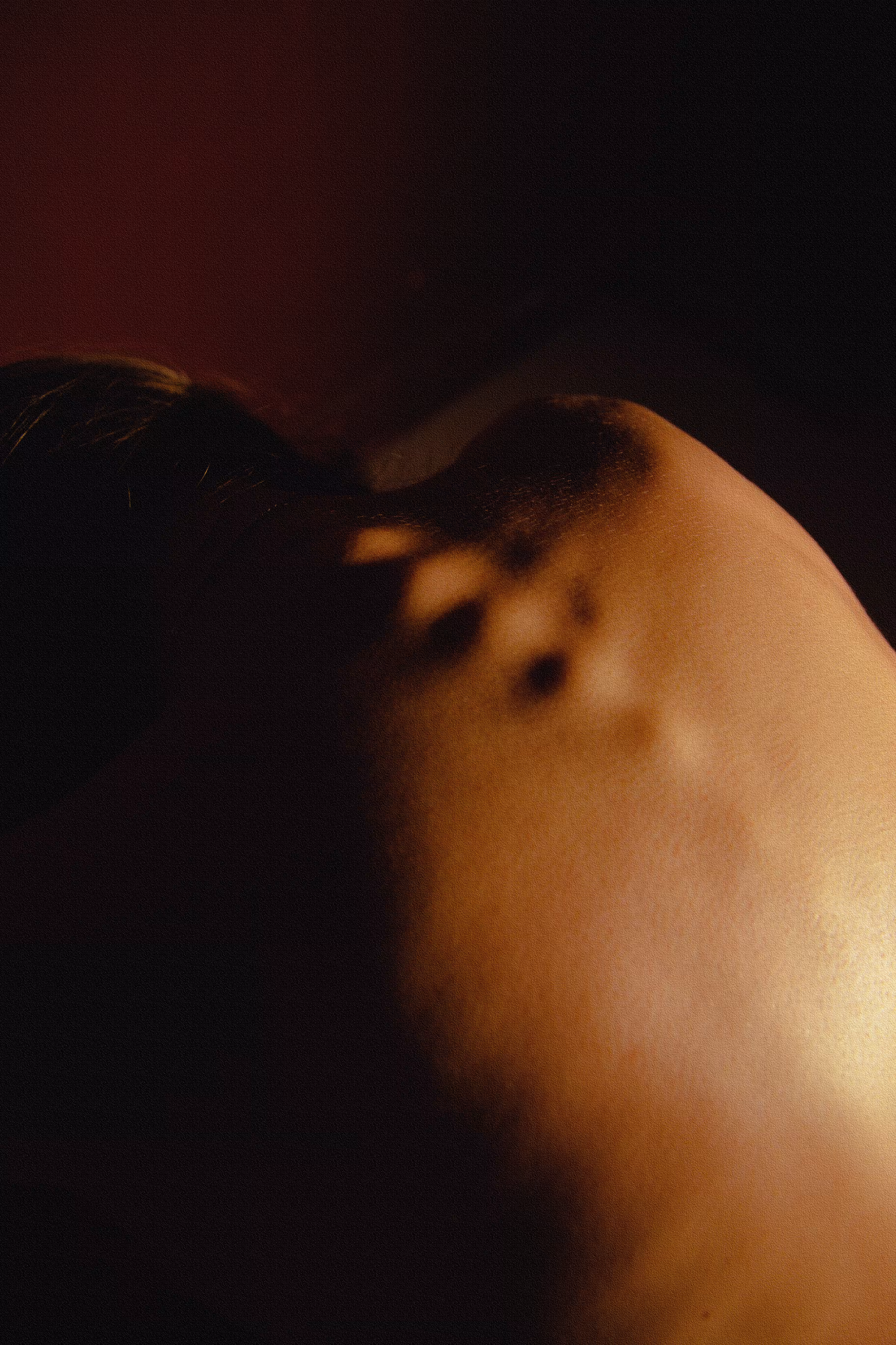 Fragile Silence