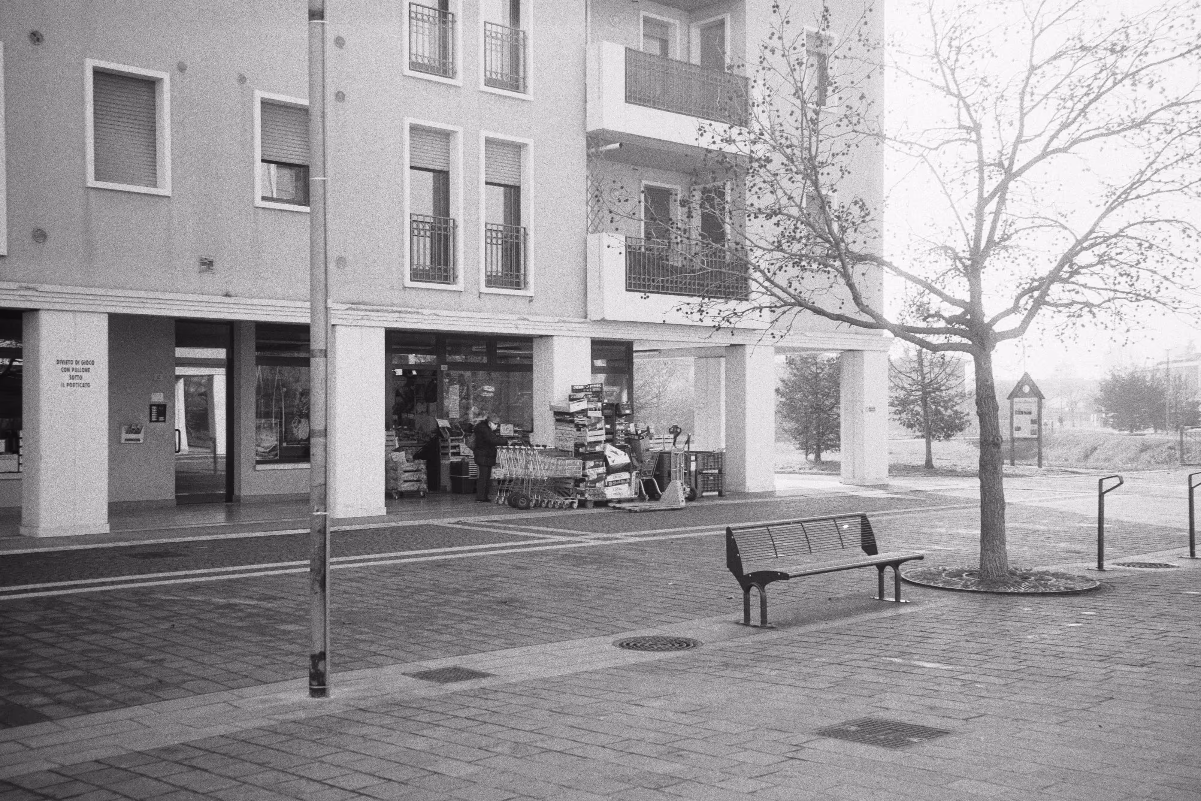 IMAGE 19
