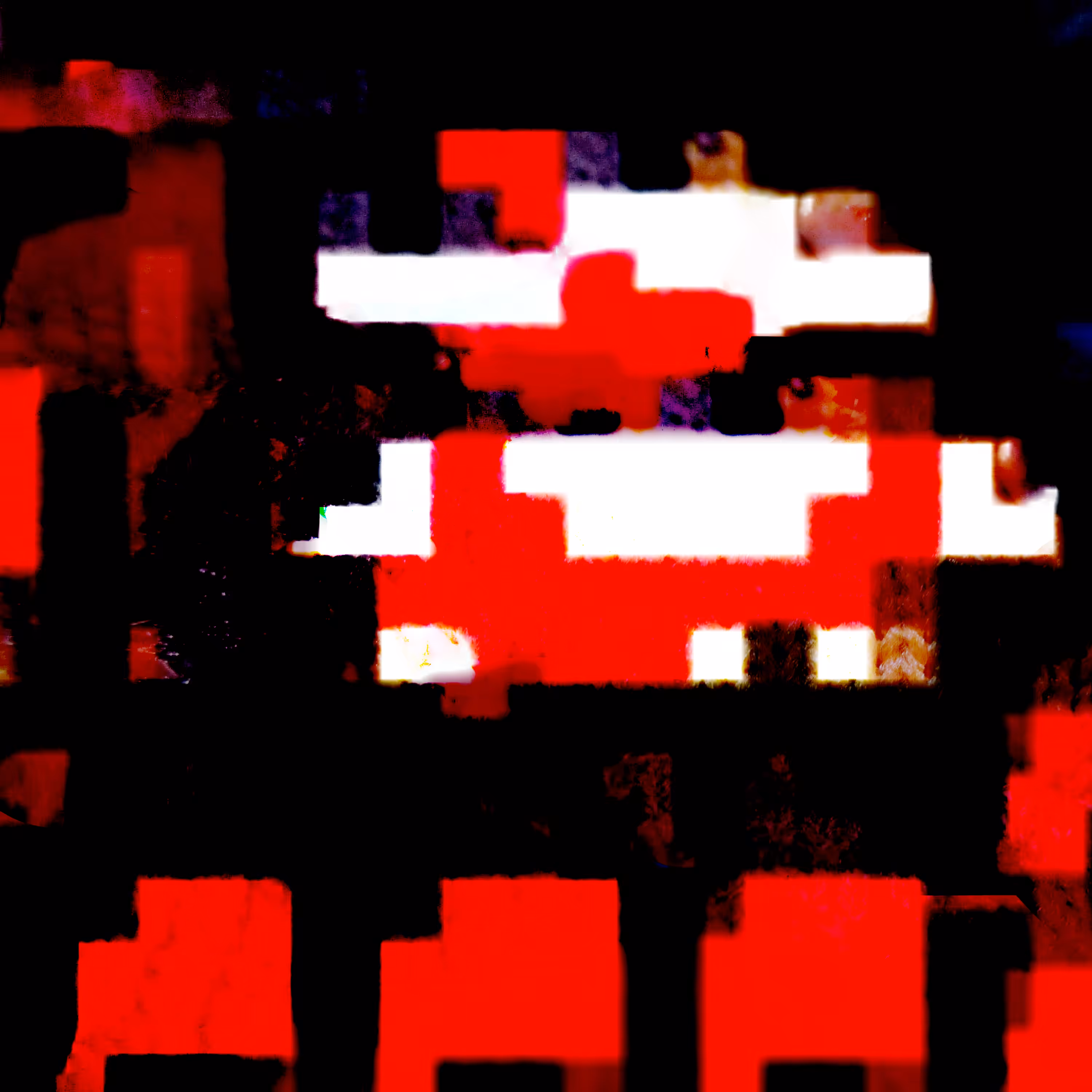 Follower 41