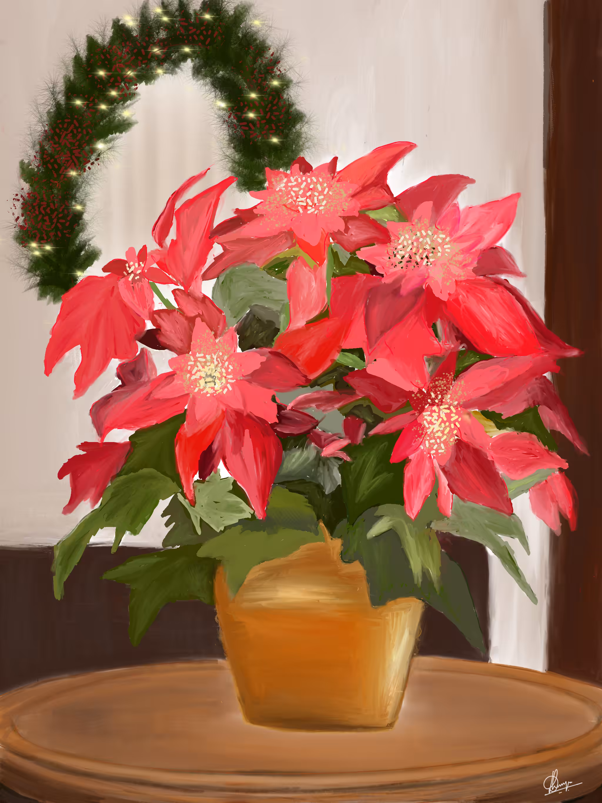 Poinsettias - The Christmas Flowers