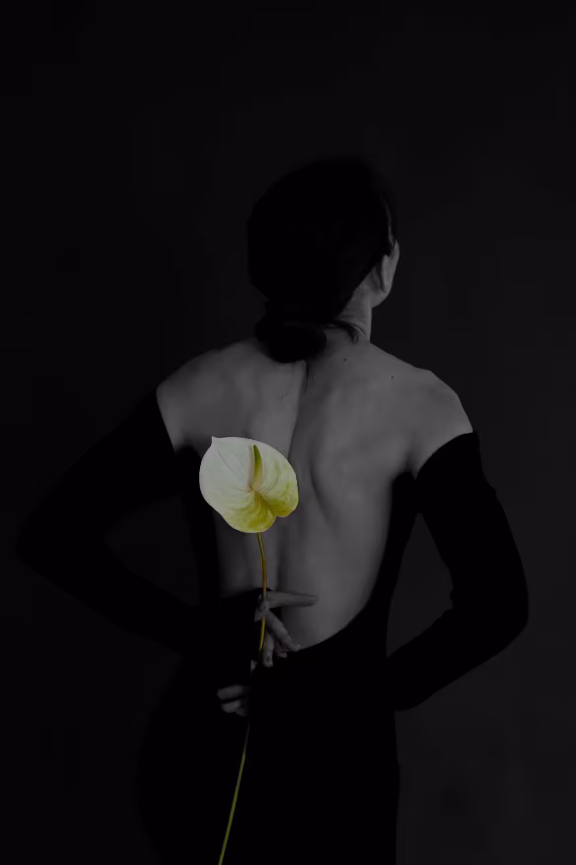 Blooming in Black