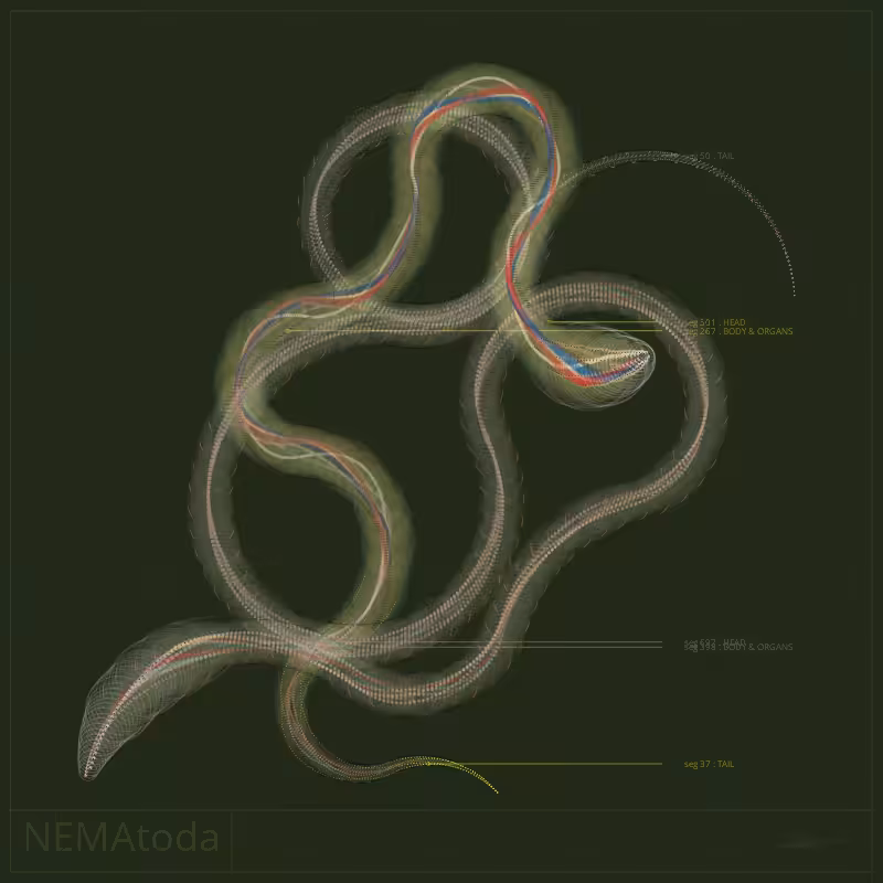 NEMA #38