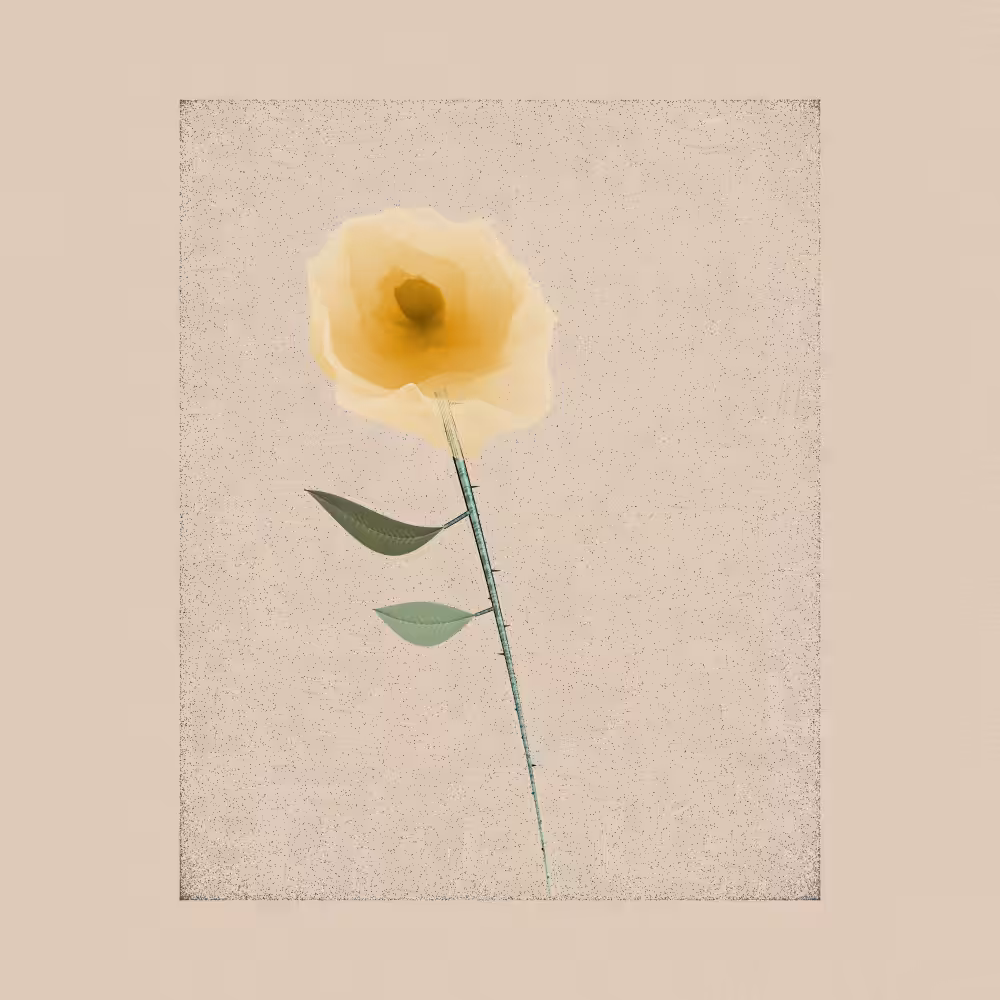 Magnolia #4