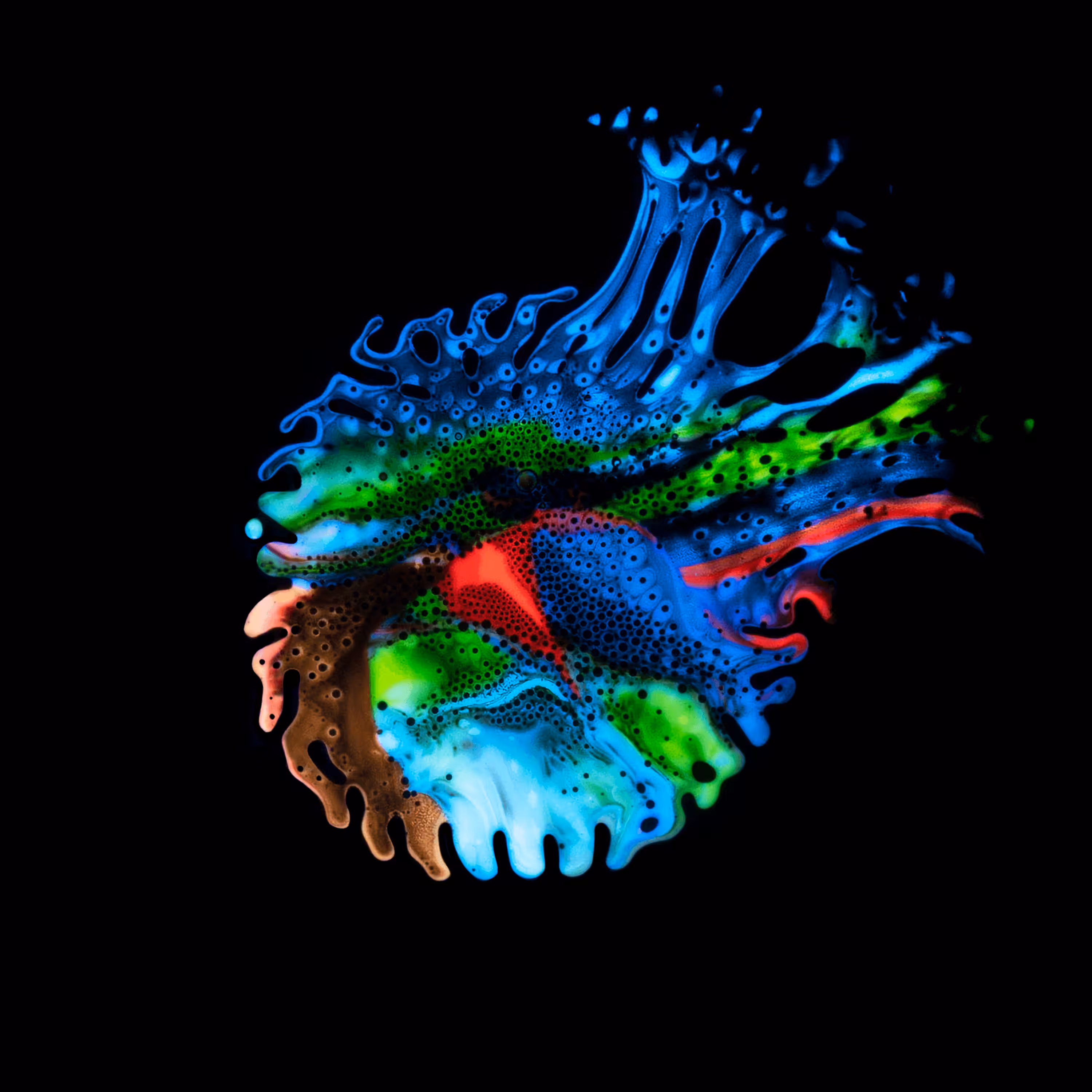 Haematopoiesis #6