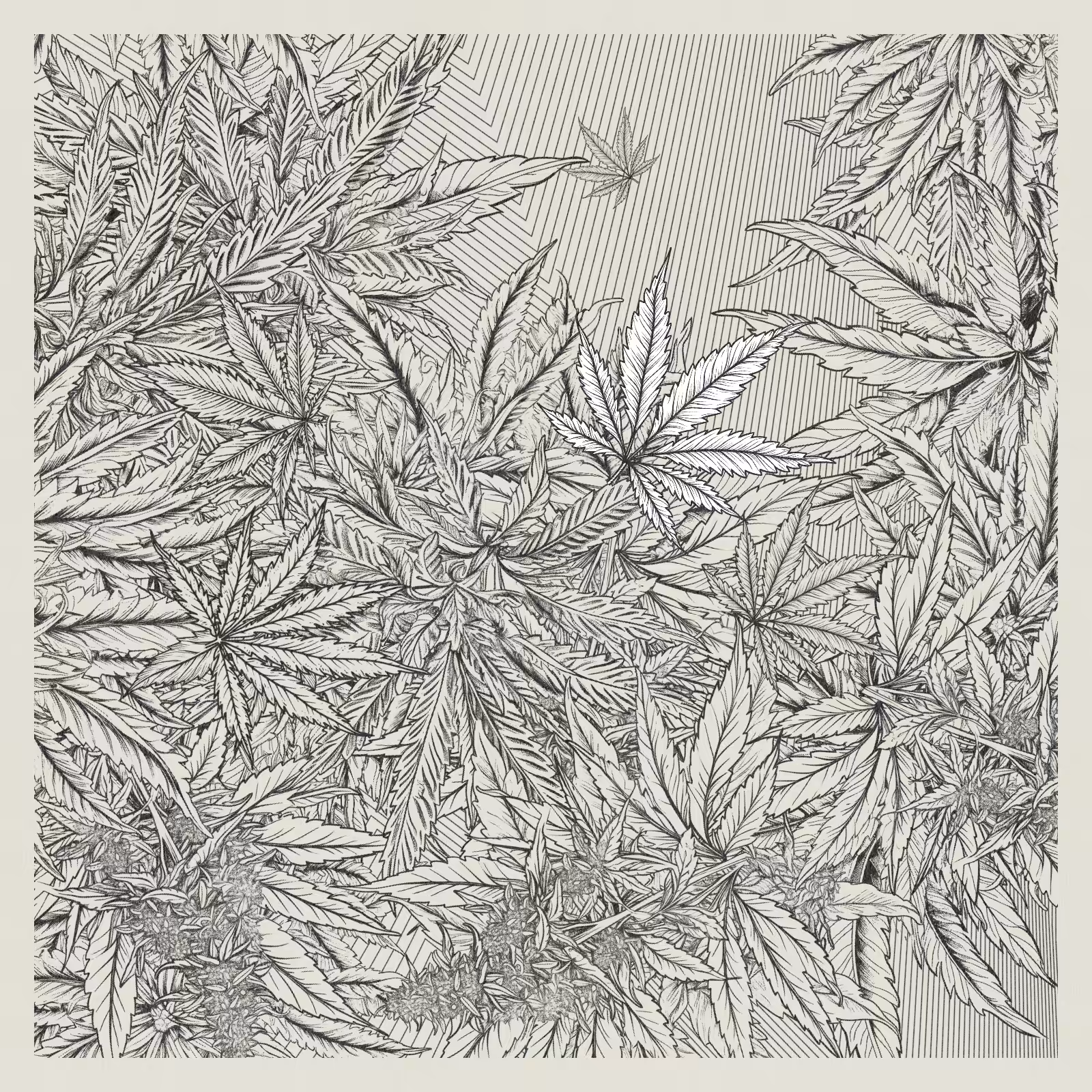 zancannabis #394