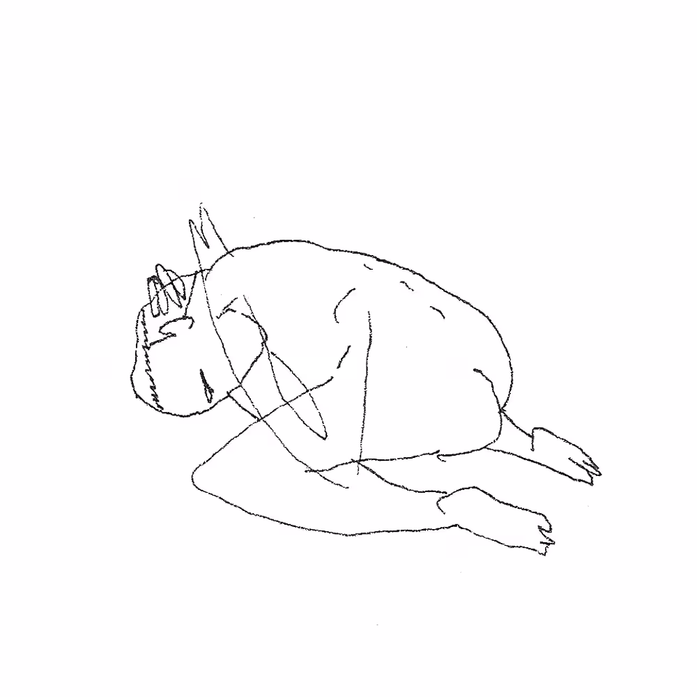 Fetal position
