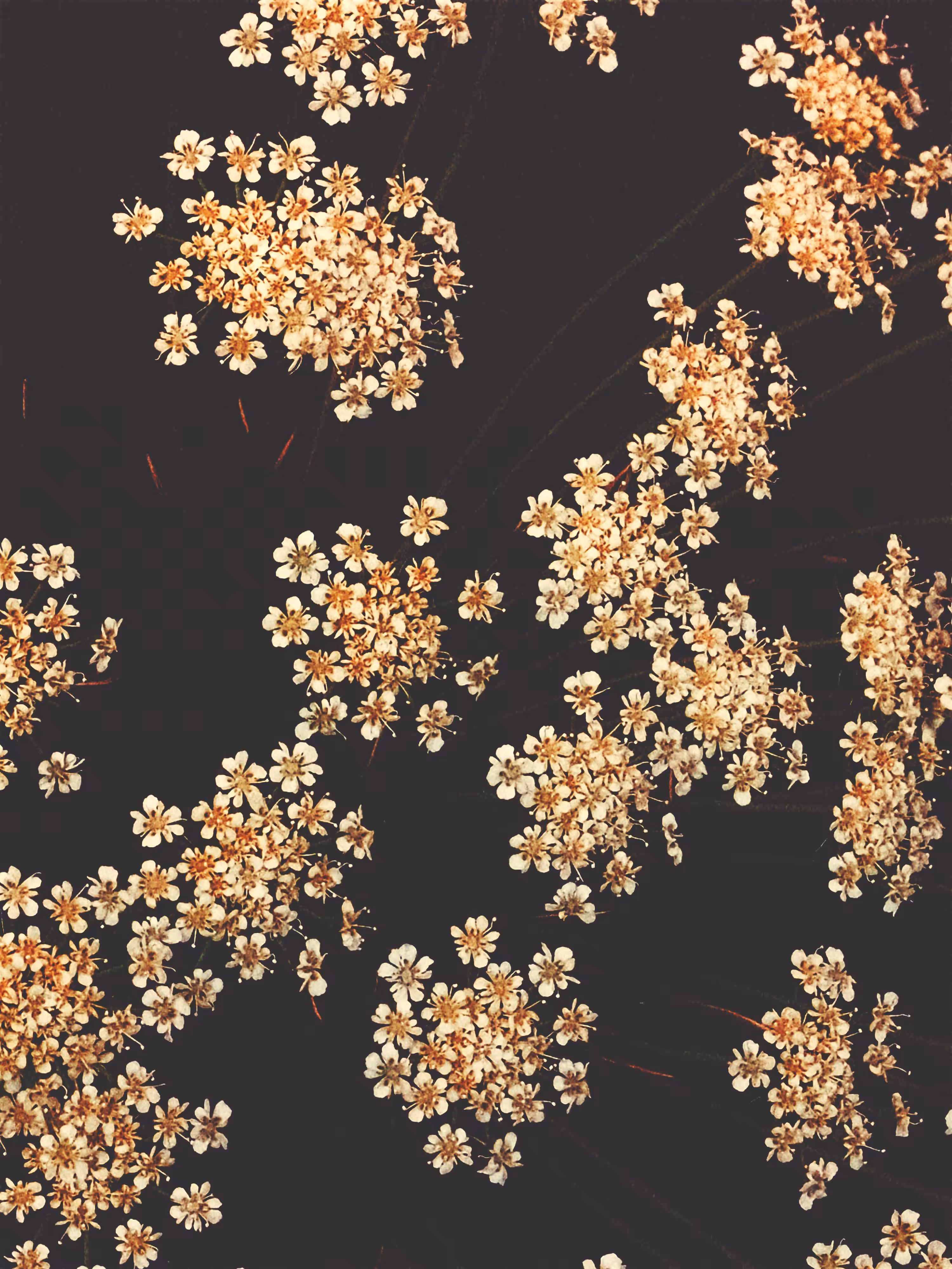 generative patterns