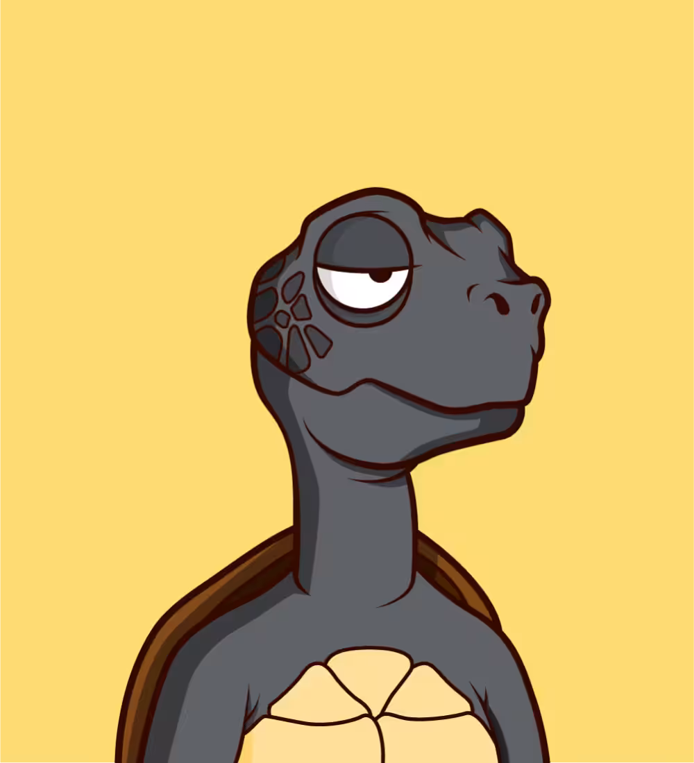Tiny Turtle 108