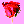 red rose 02