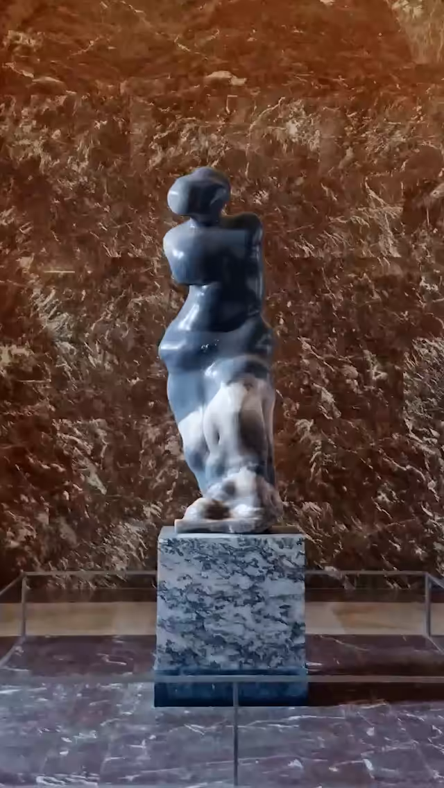VENUS