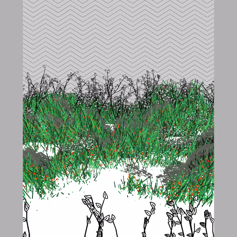 Contours #12